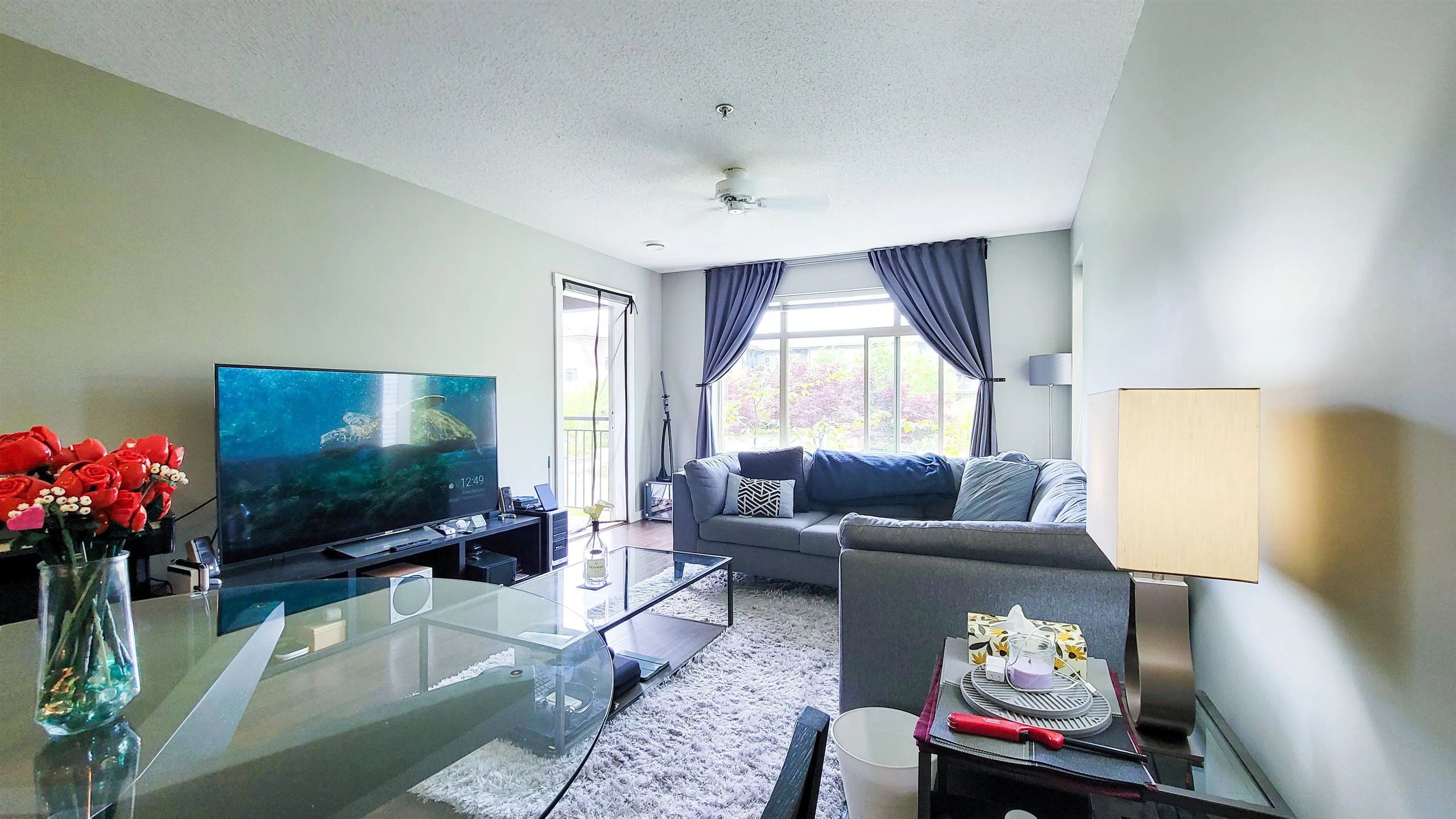 217 9299 Tomicki Avenue