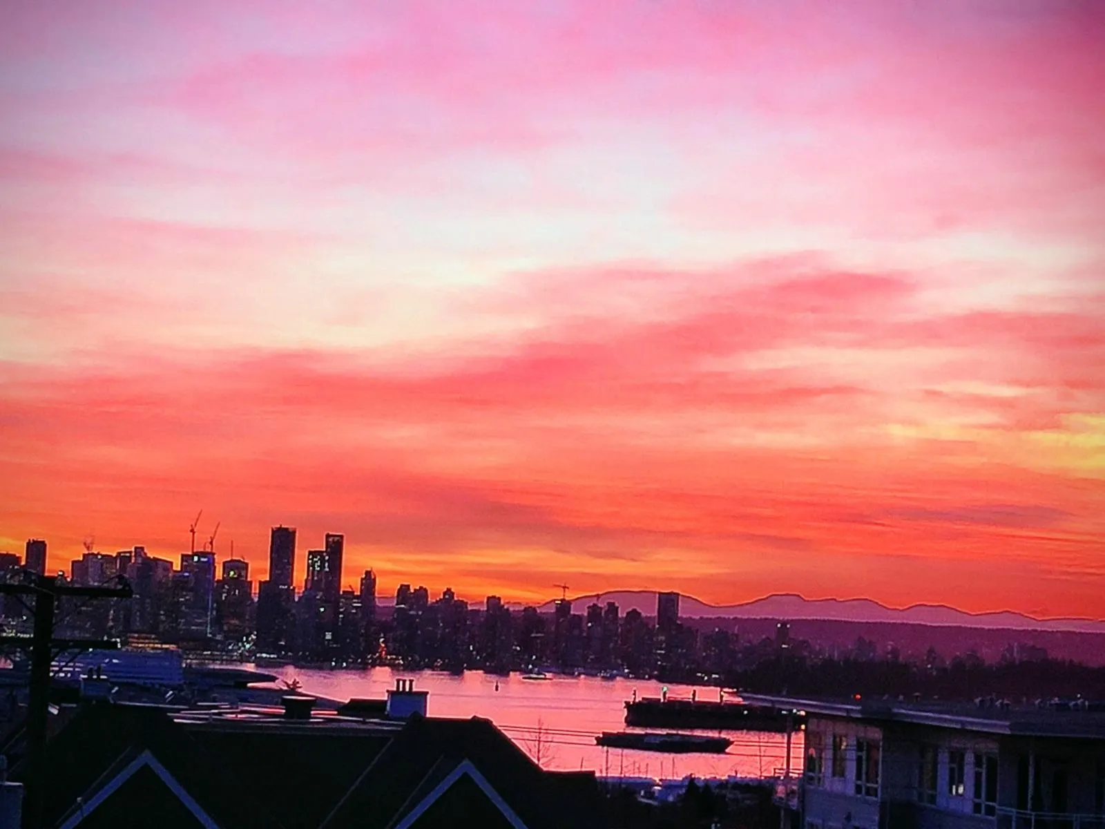 PH4 1288 Chesterfield Avenue