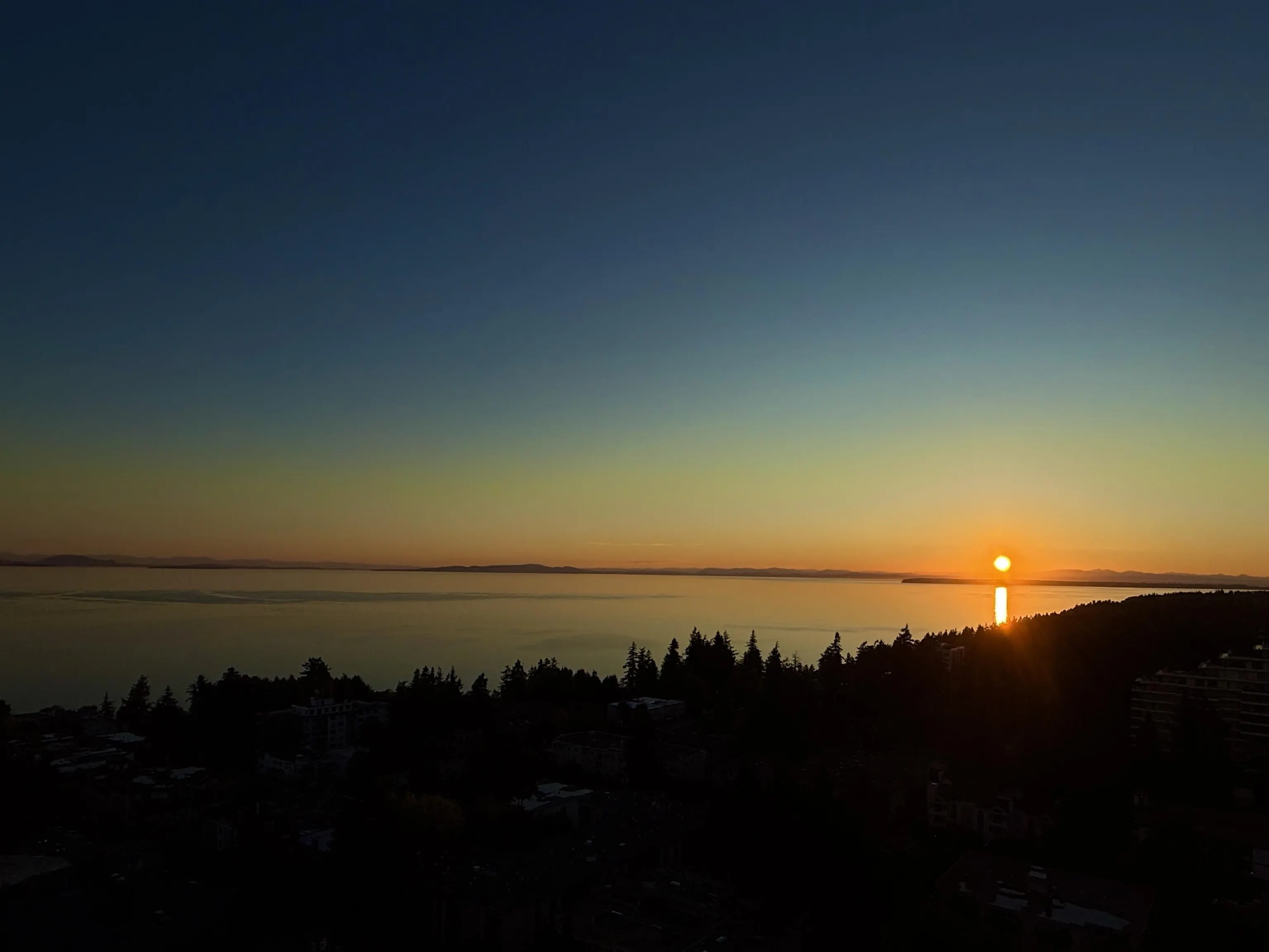 1804 1501 Foster Street