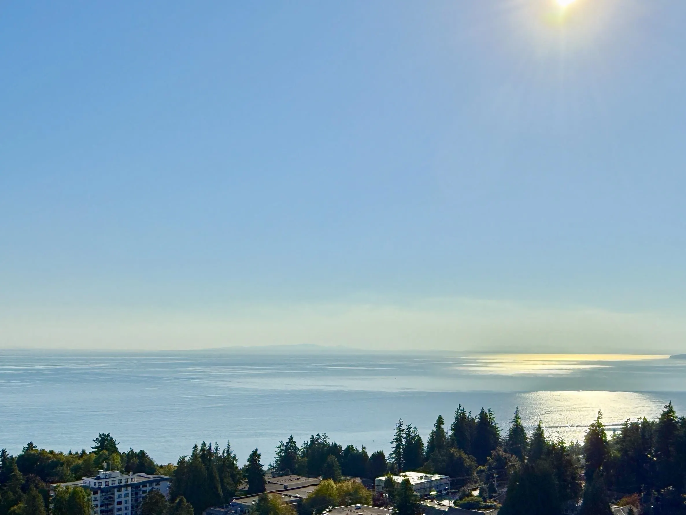 1804 1501 Foster Street