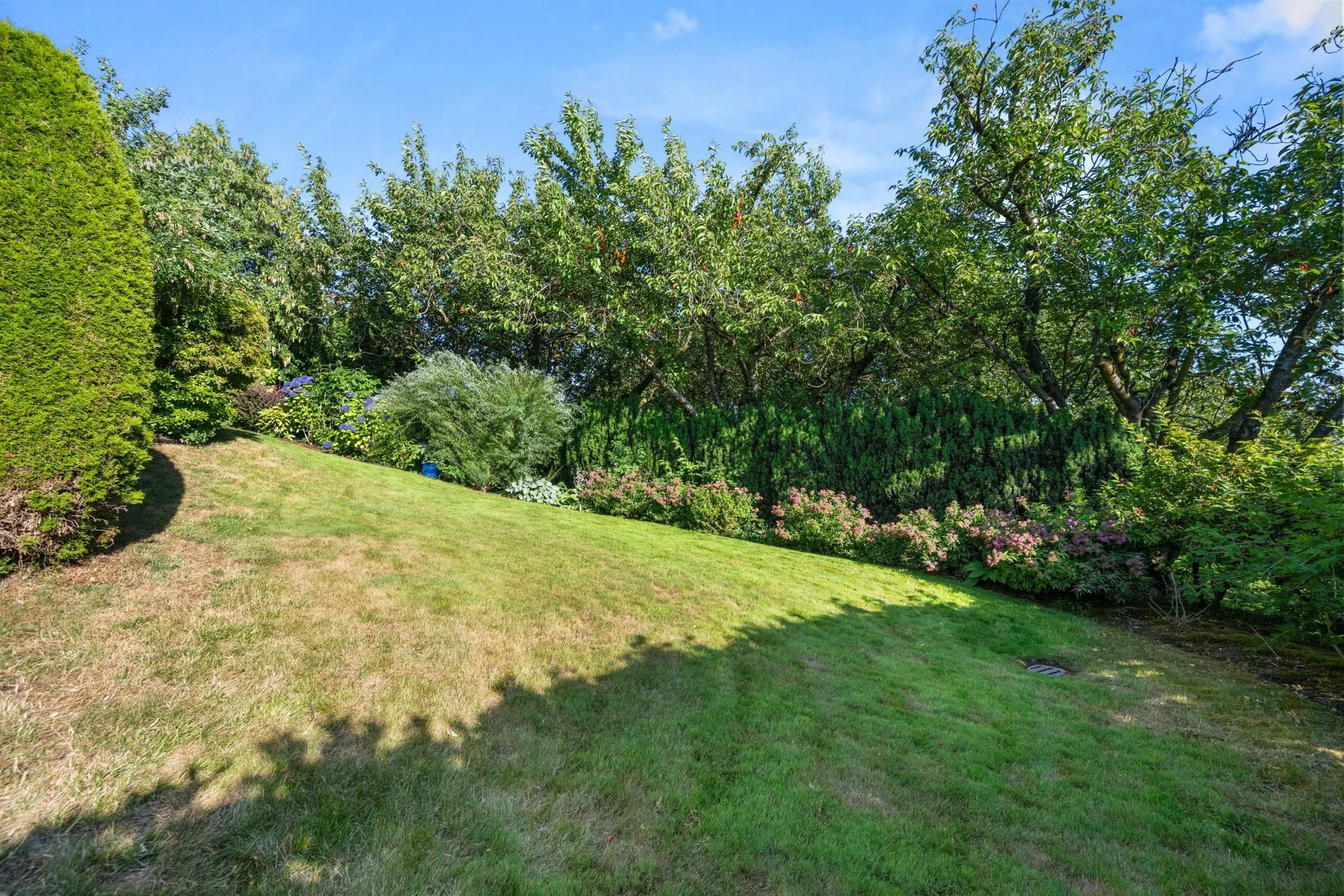 39 31450 Spur Avenue