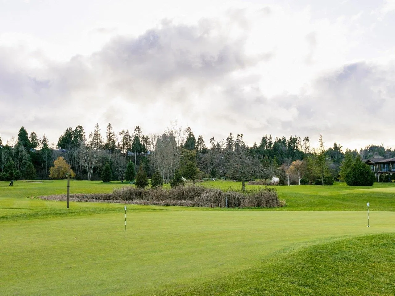 1585 Pine Springs Lane