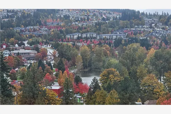 2001 1182 Westwood Street