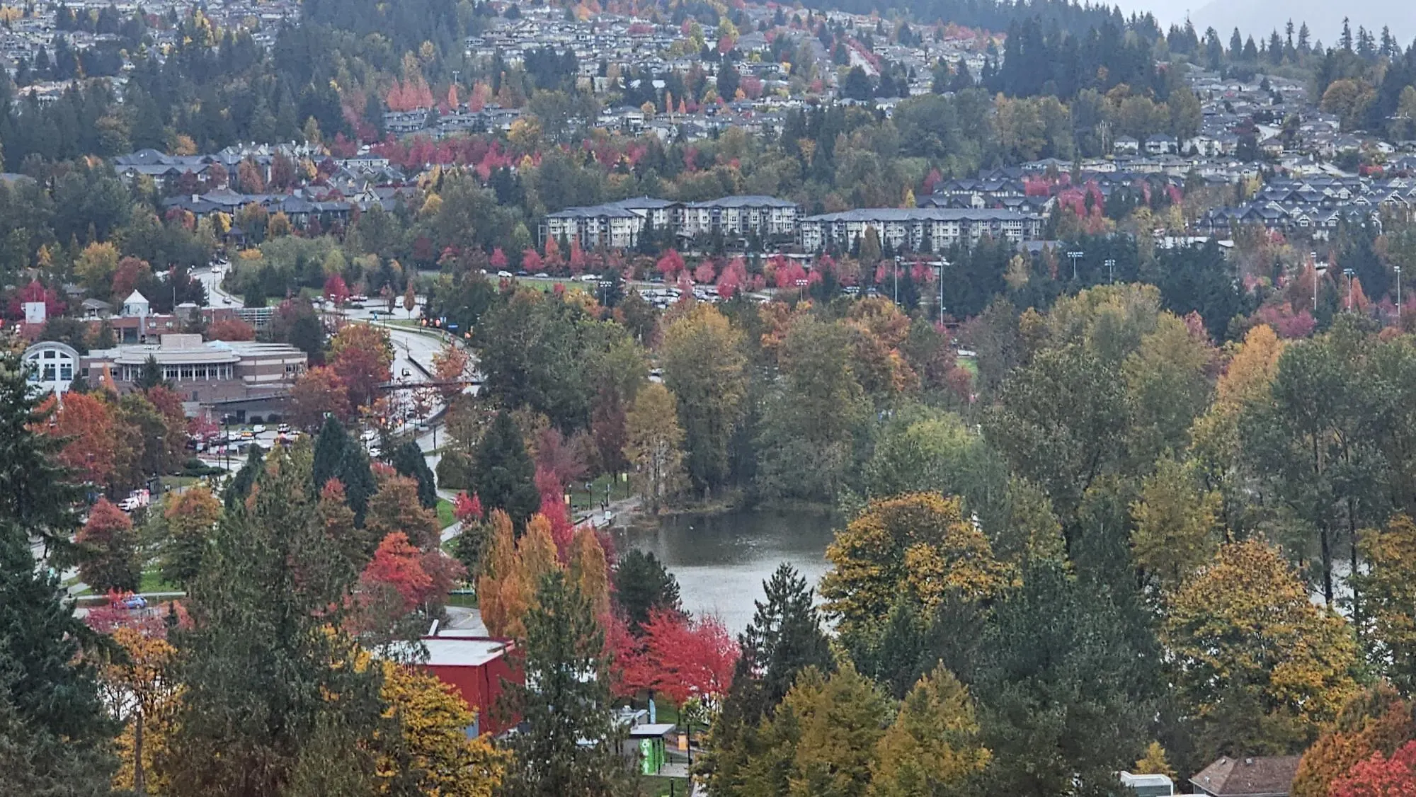 2001 1182 Westwood Street