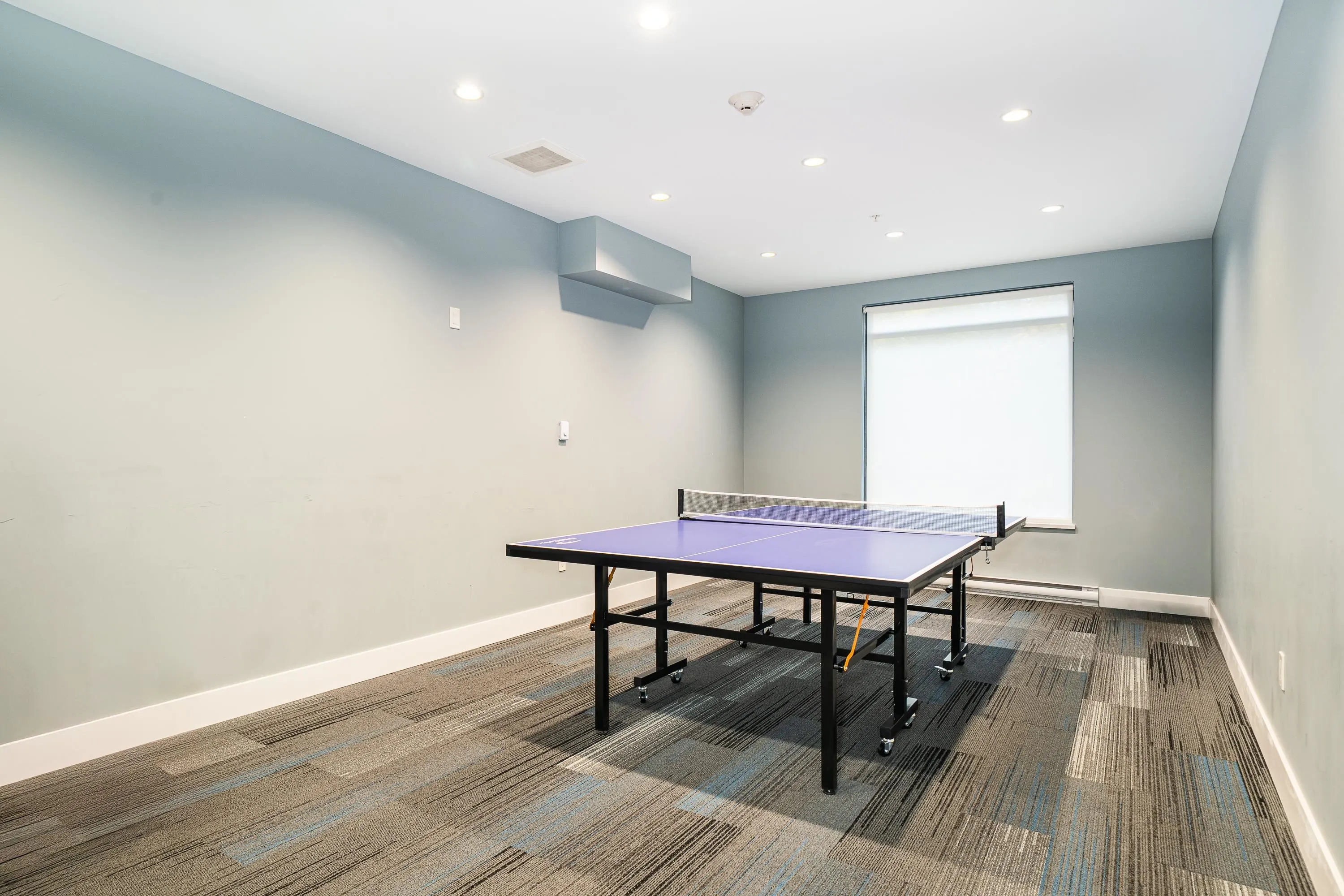 317 5355 Lane Street