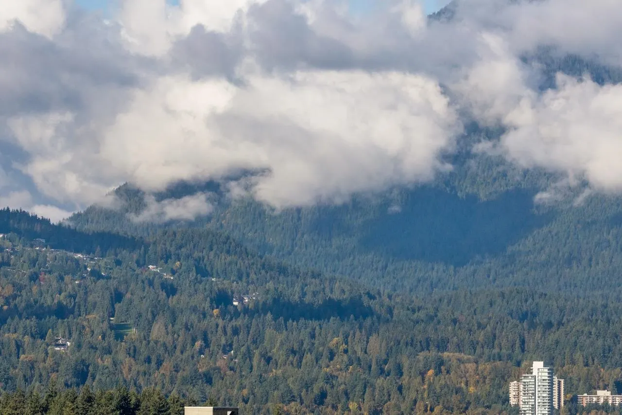 1704 1365 Davie Street