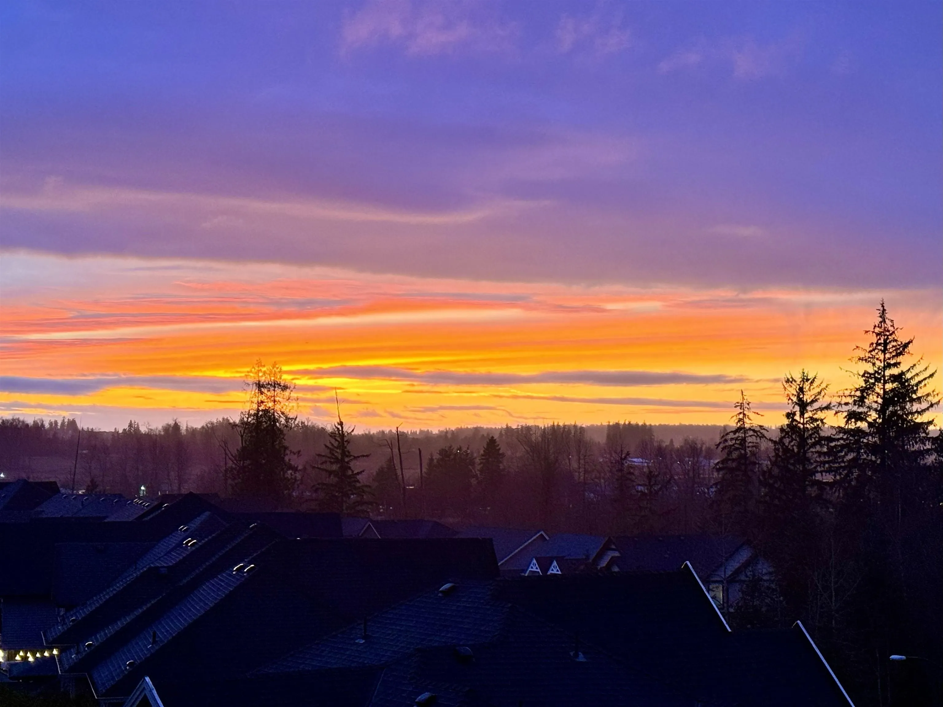 18 7177 179th Street