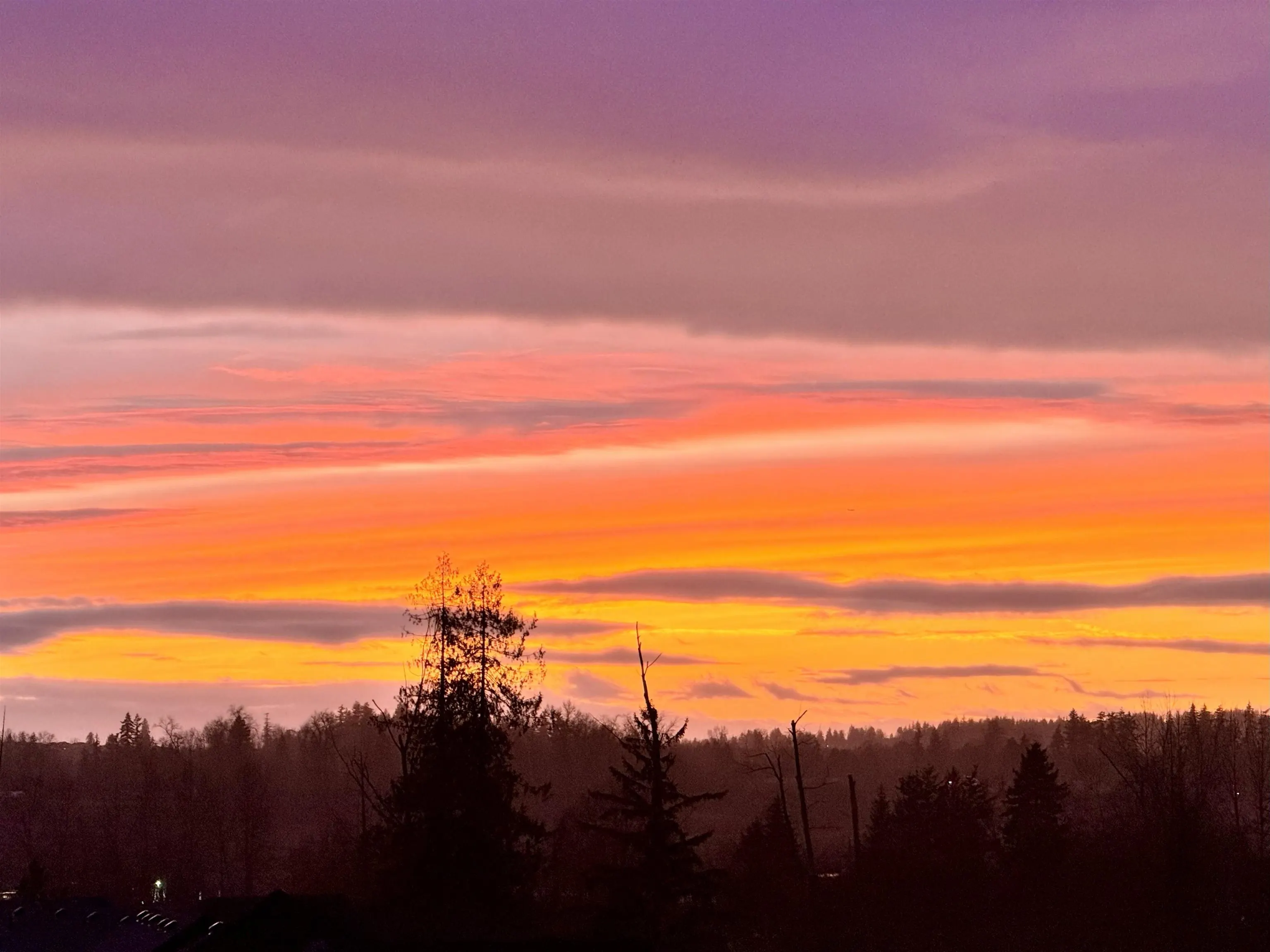 18 7177 179th Street