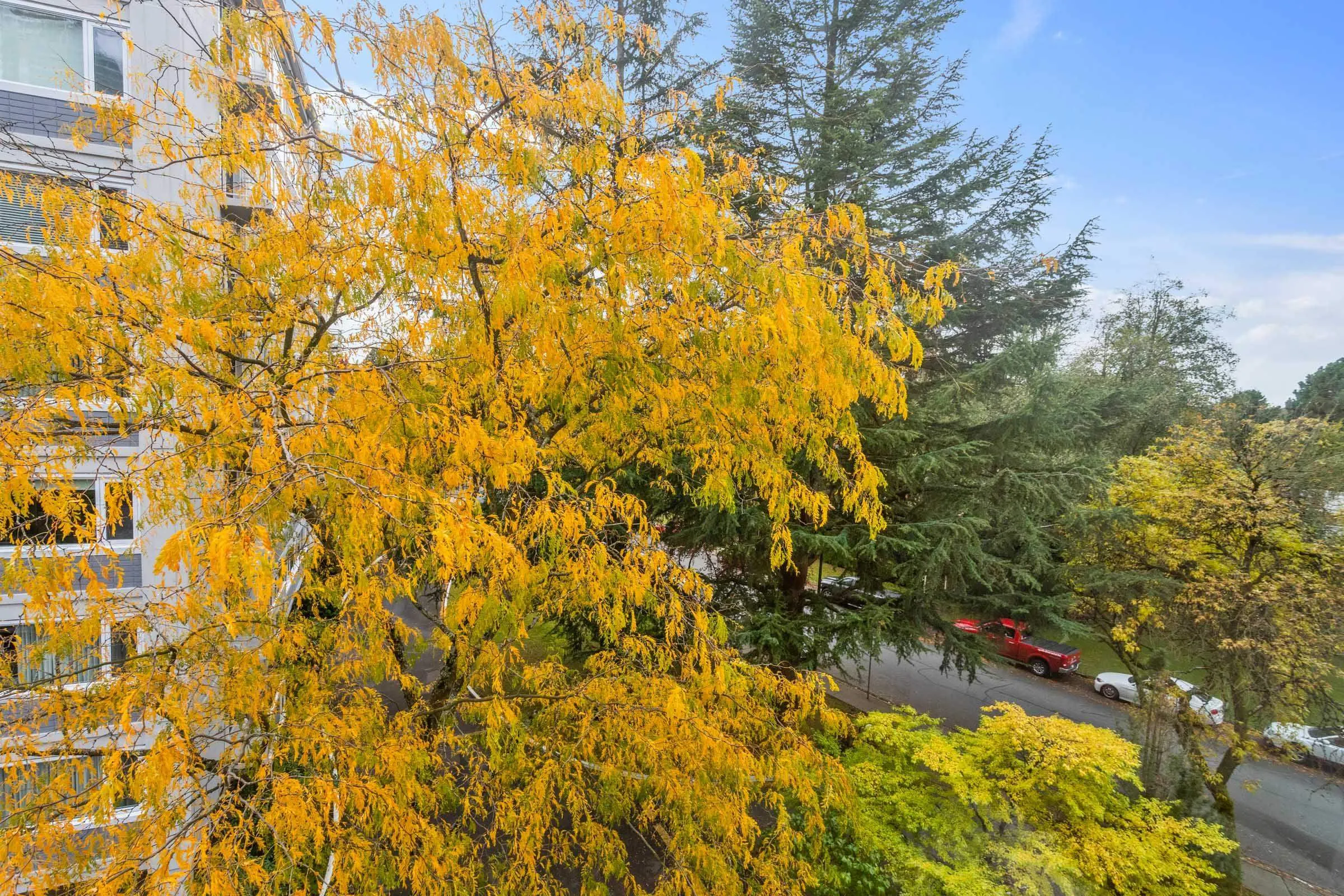 402 6026 Tisdall Street