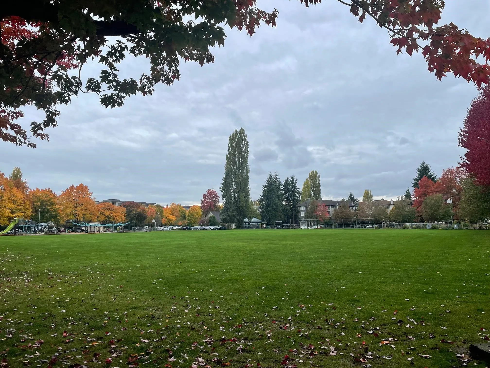 203 5556 201a Street