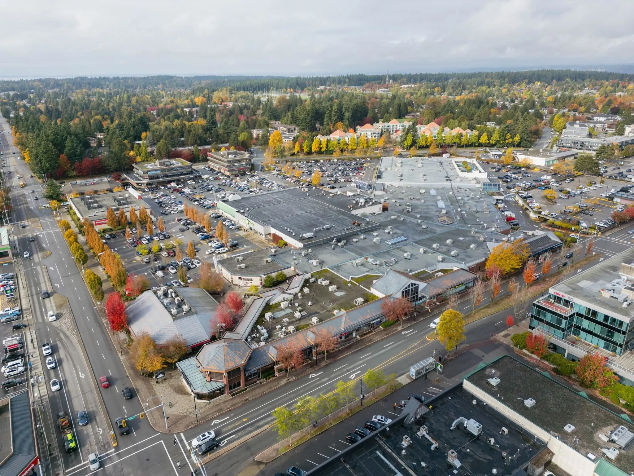 15962 North Bluff Road