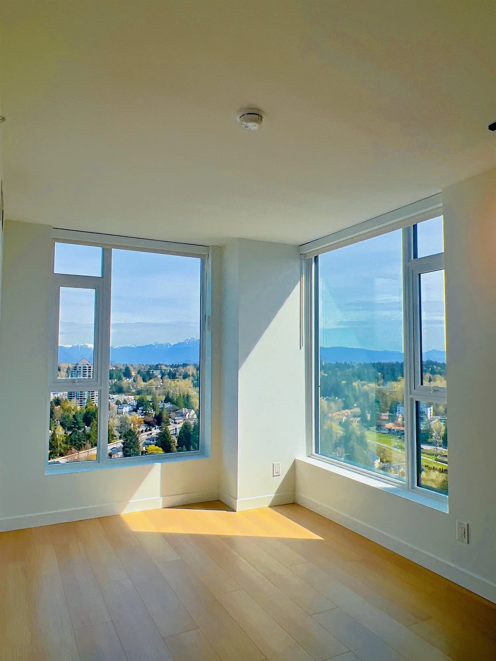 3009 13745 George Junction