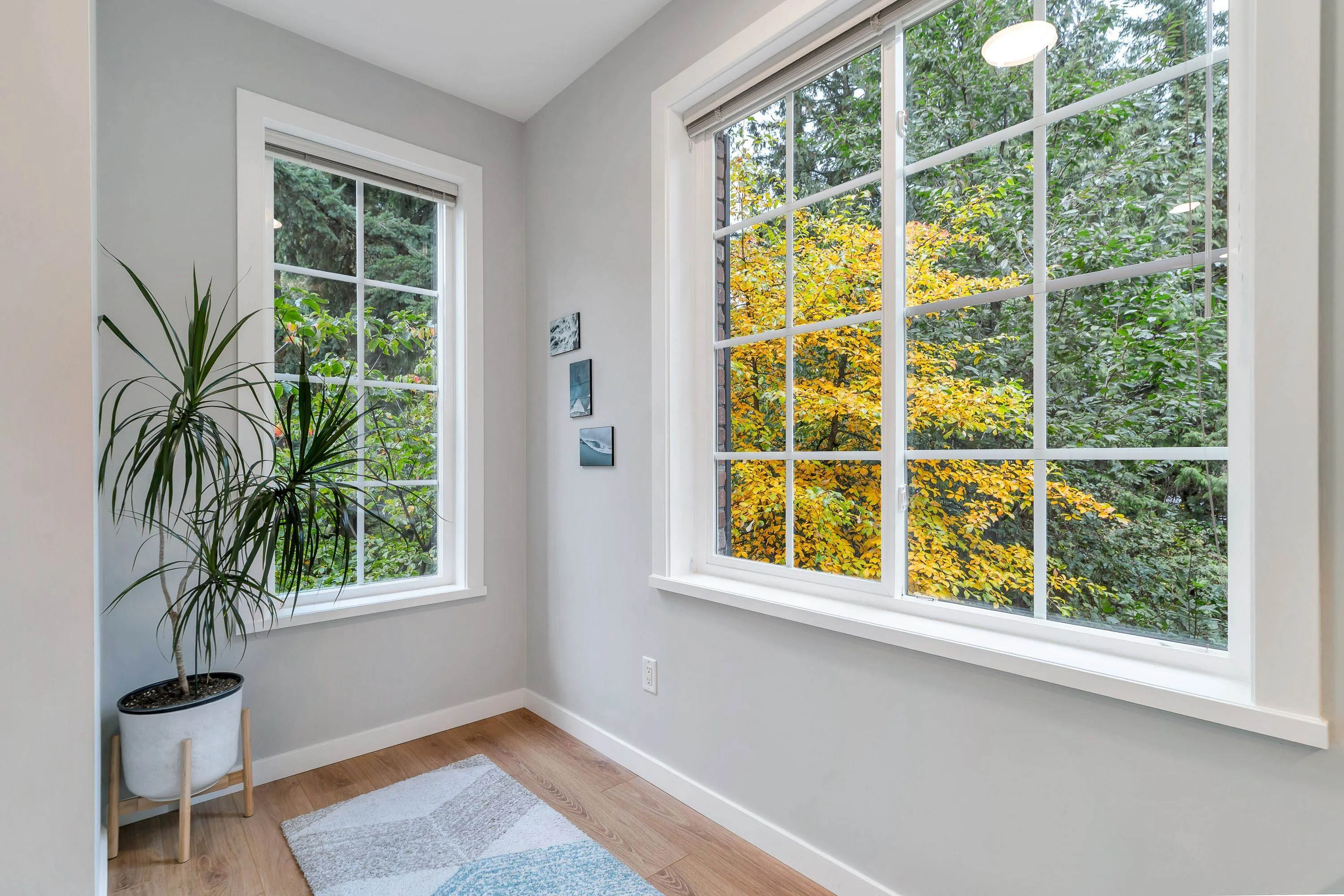 48 550 Browning Place