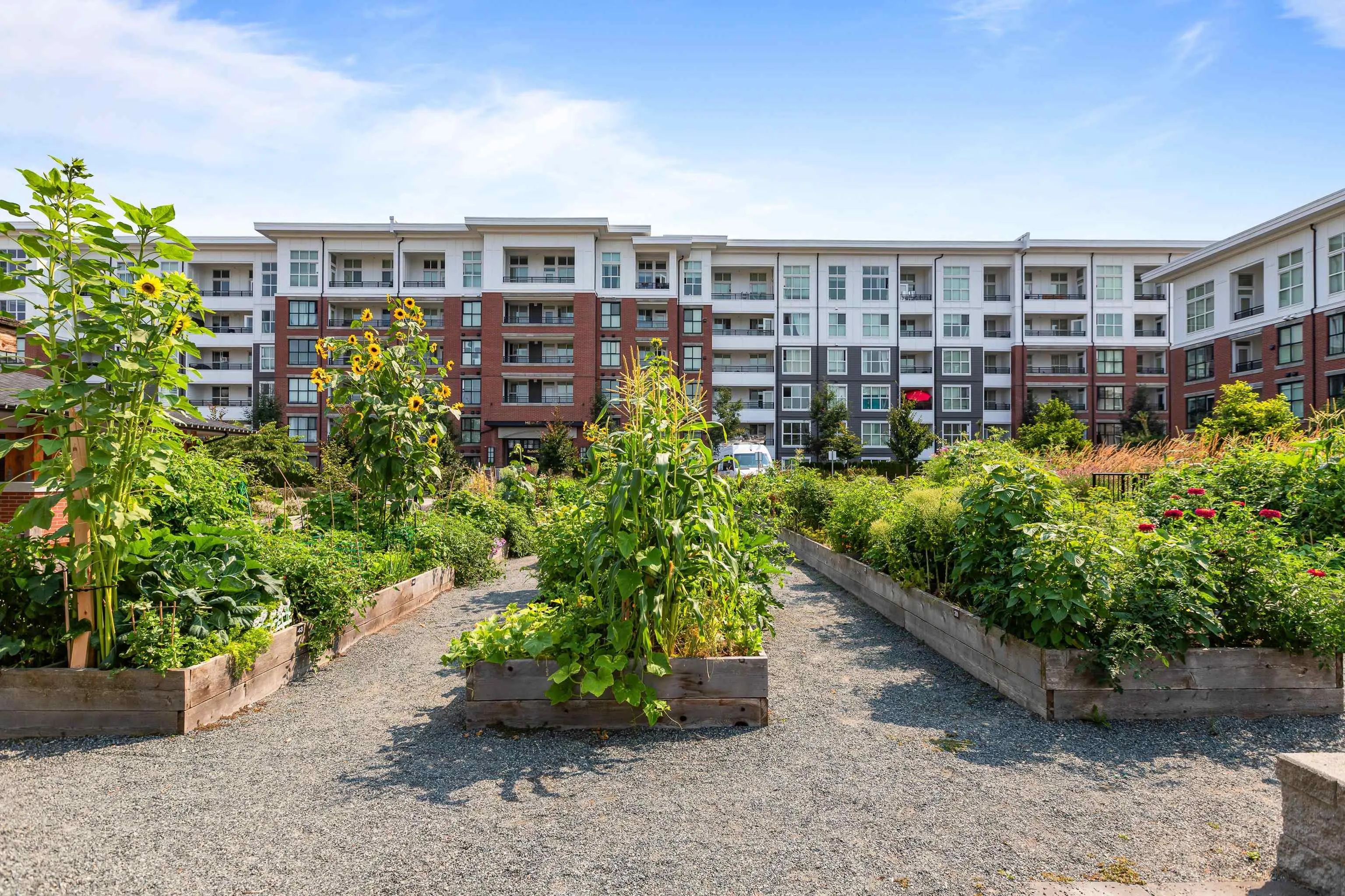 B319 8150 207 Street