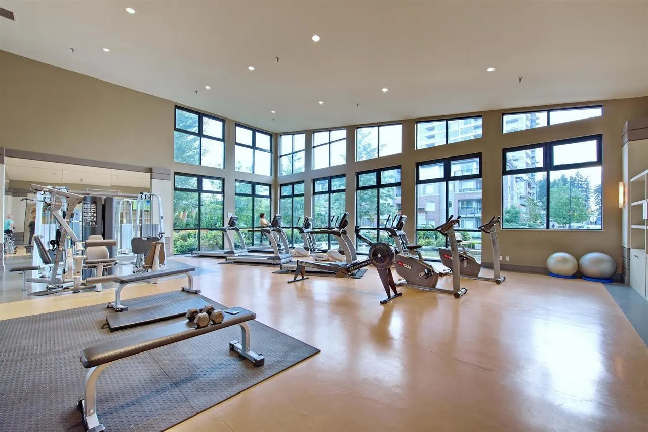 1508 3093 Windsor Gate