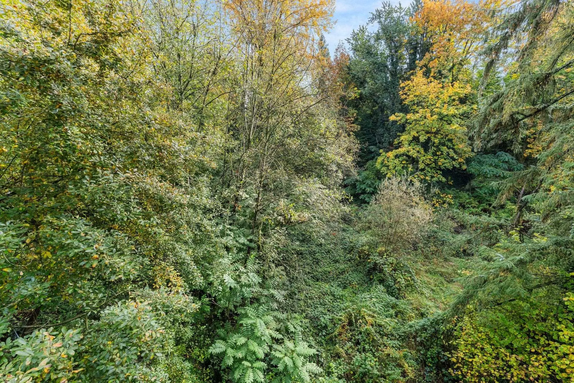 108 33478 Roberts Avenue