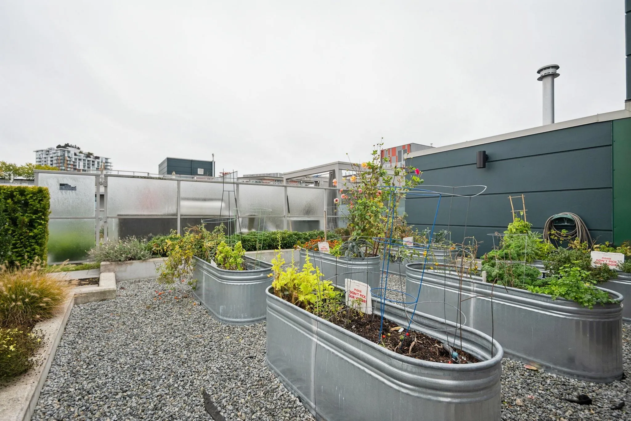 365 250 E 6th Avenue