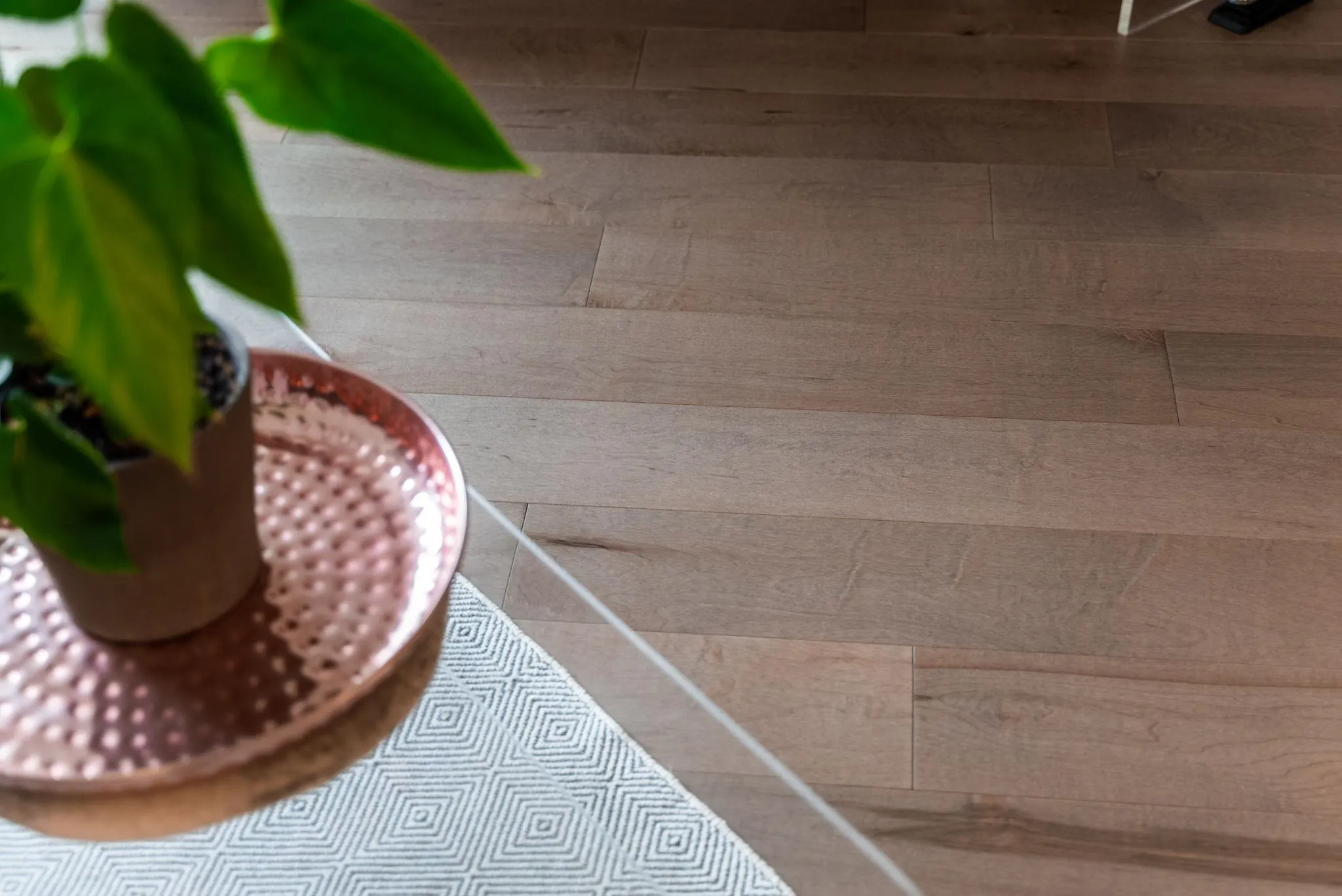 304 1928 Nelson Street