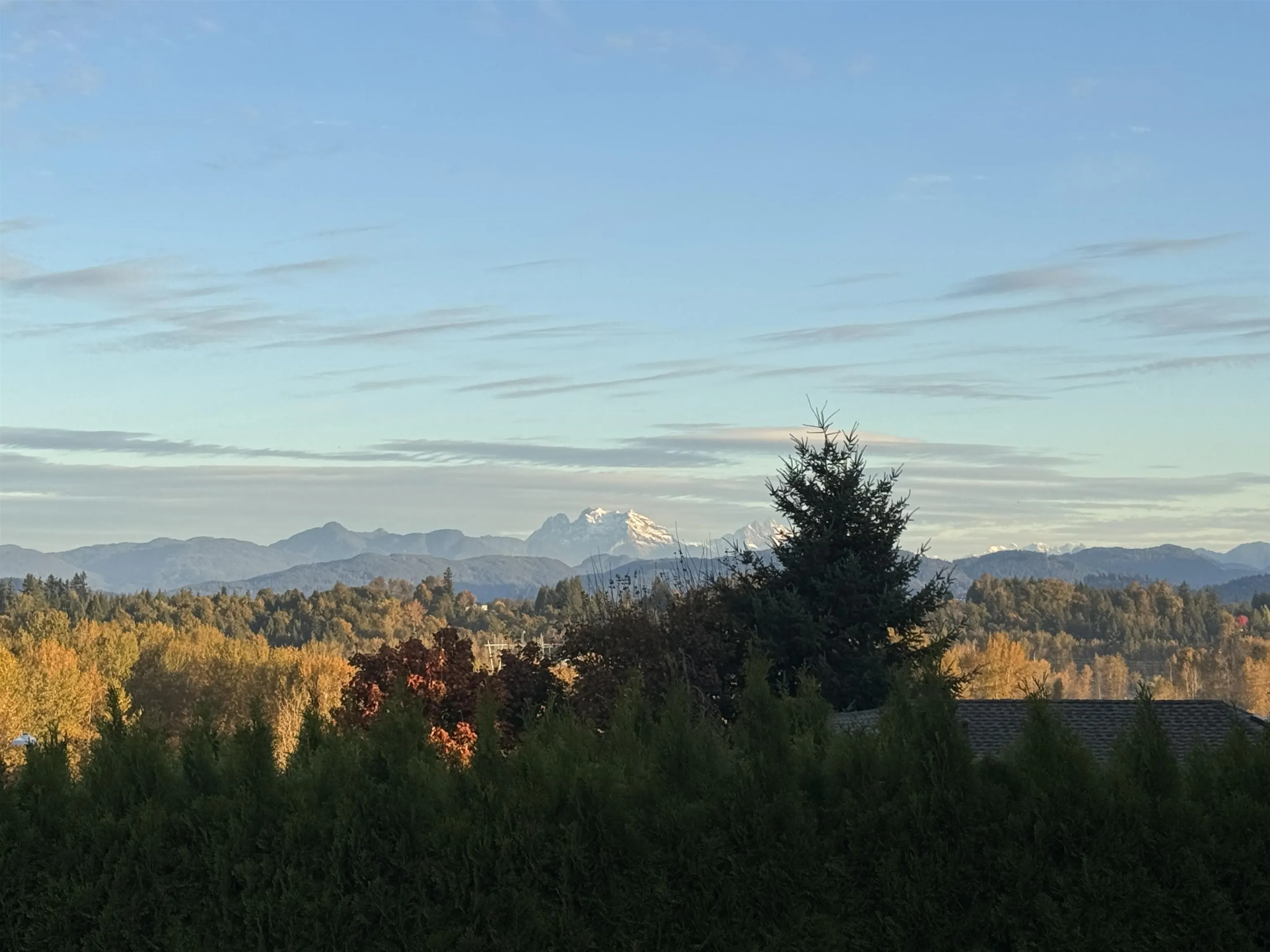 33539 Northview Place