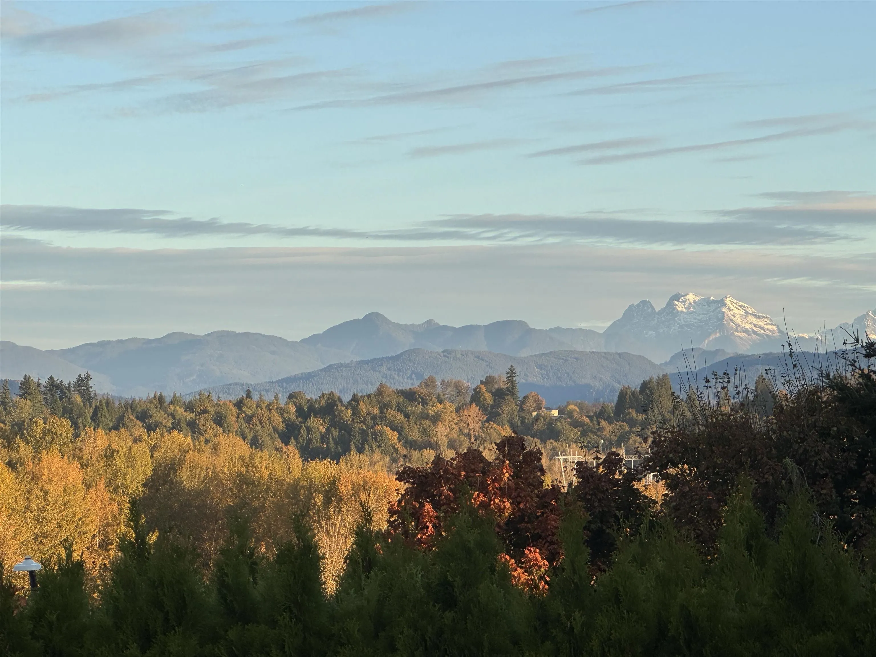 33539 Northview Place