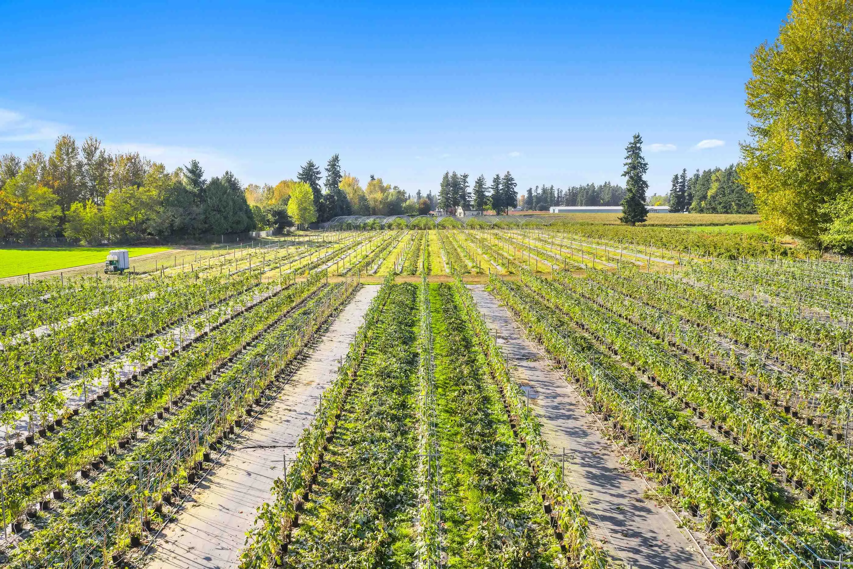 1415 Clearbrook Road