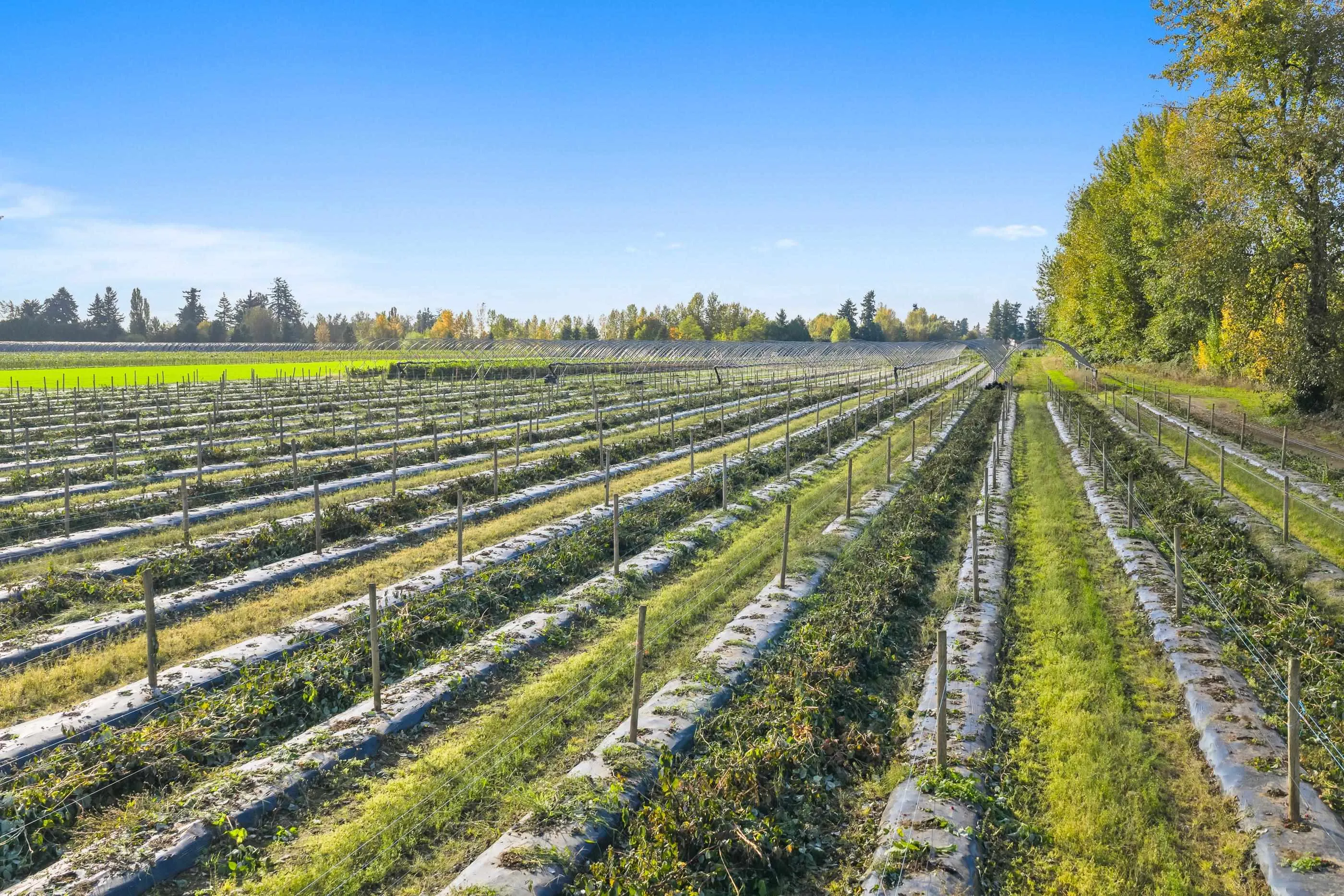 1415 Clearbrook Road