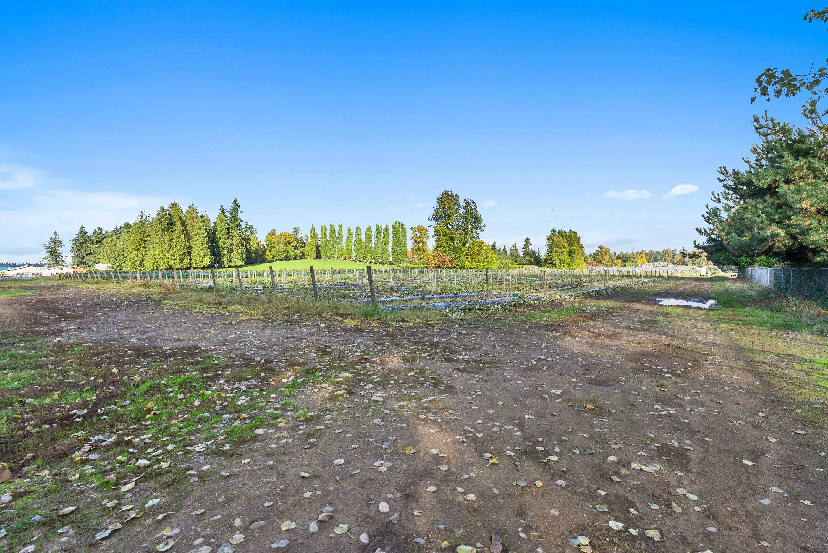 1415 Clearbrook Road