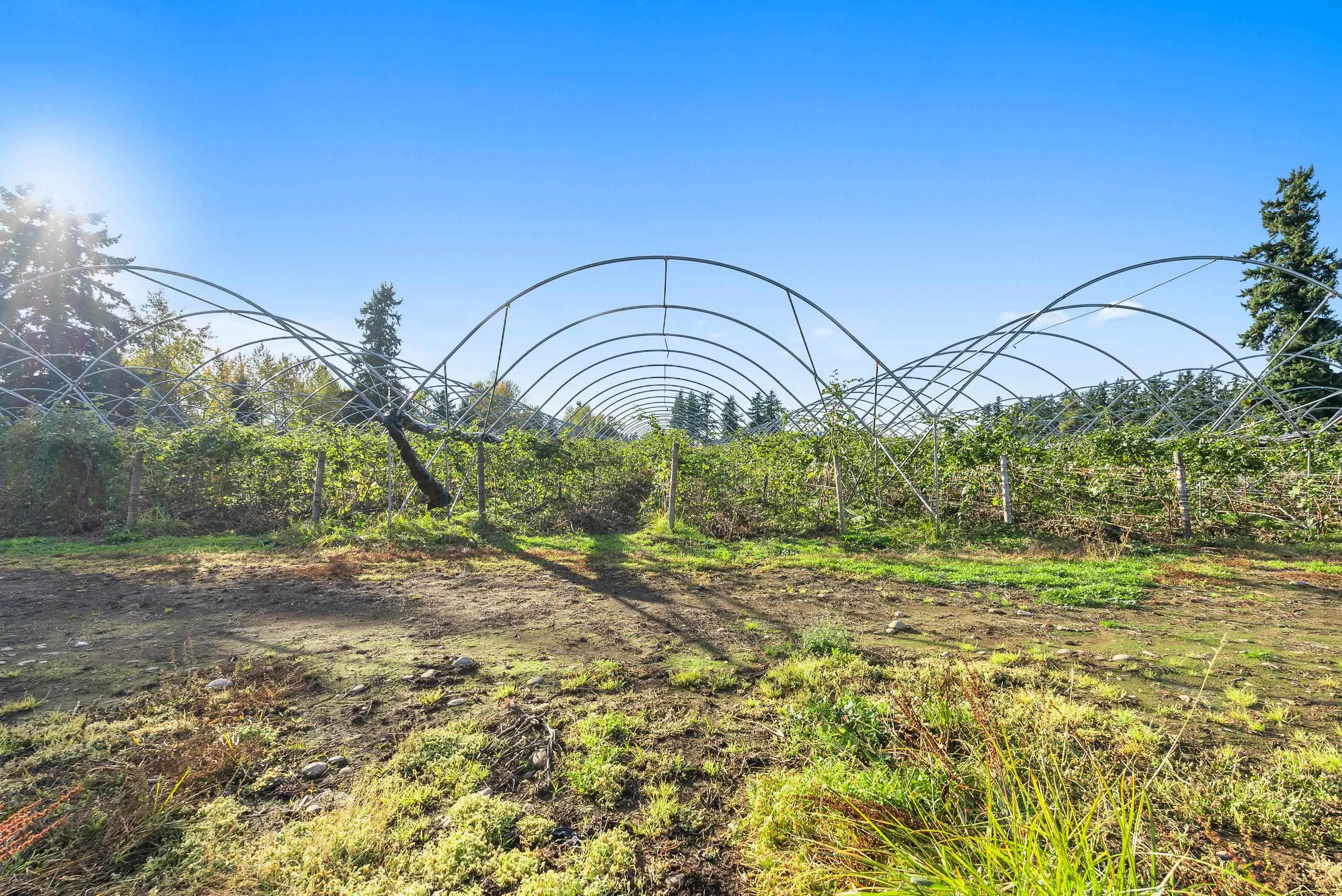 1415 Clearbrook Road