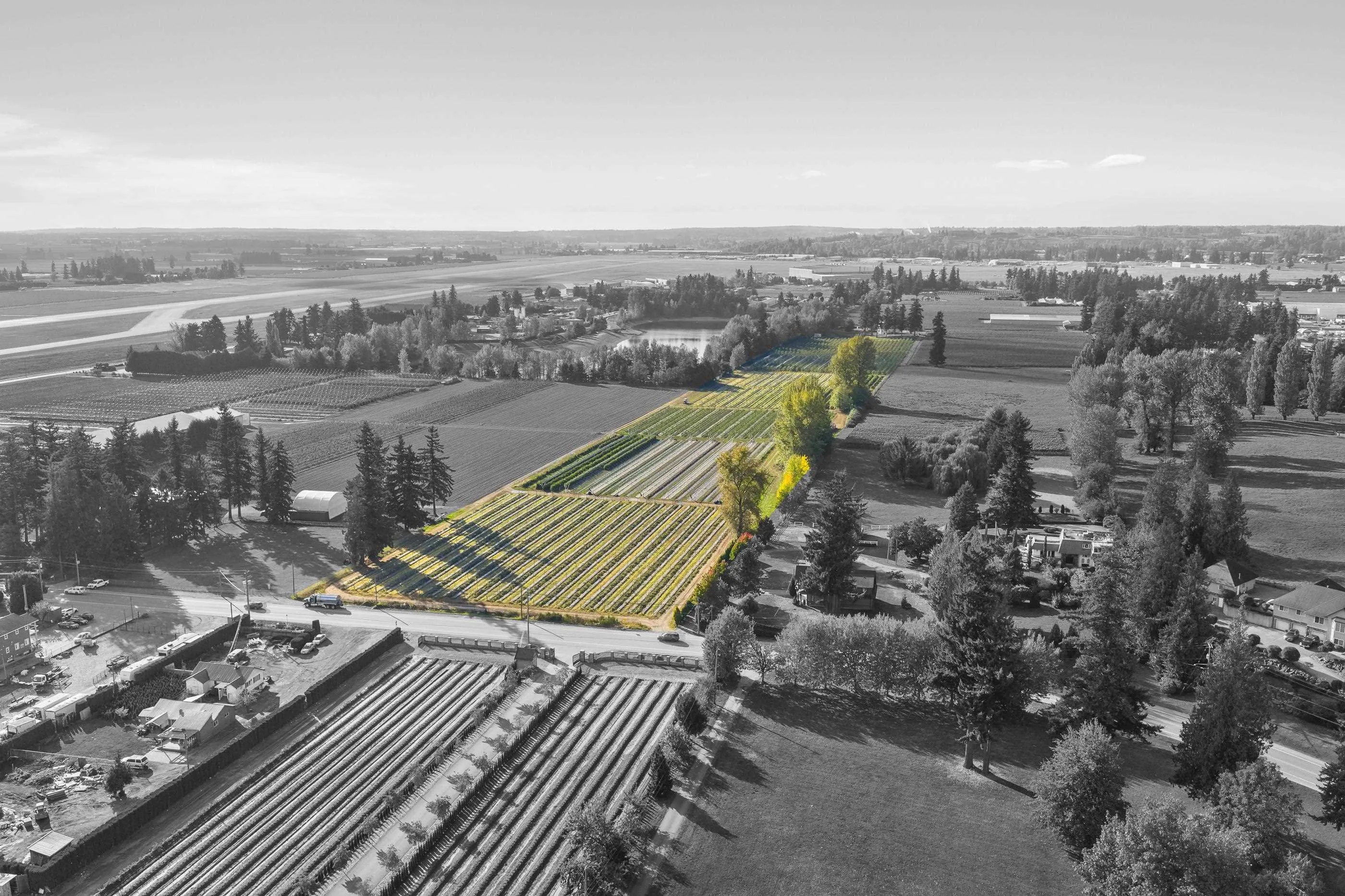 1415 Clearbrook Road