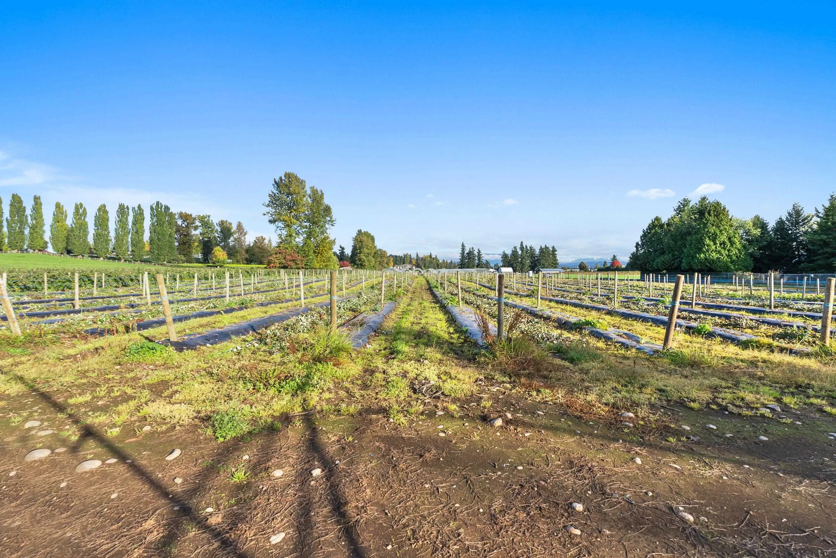 1415 Clearbrook Road