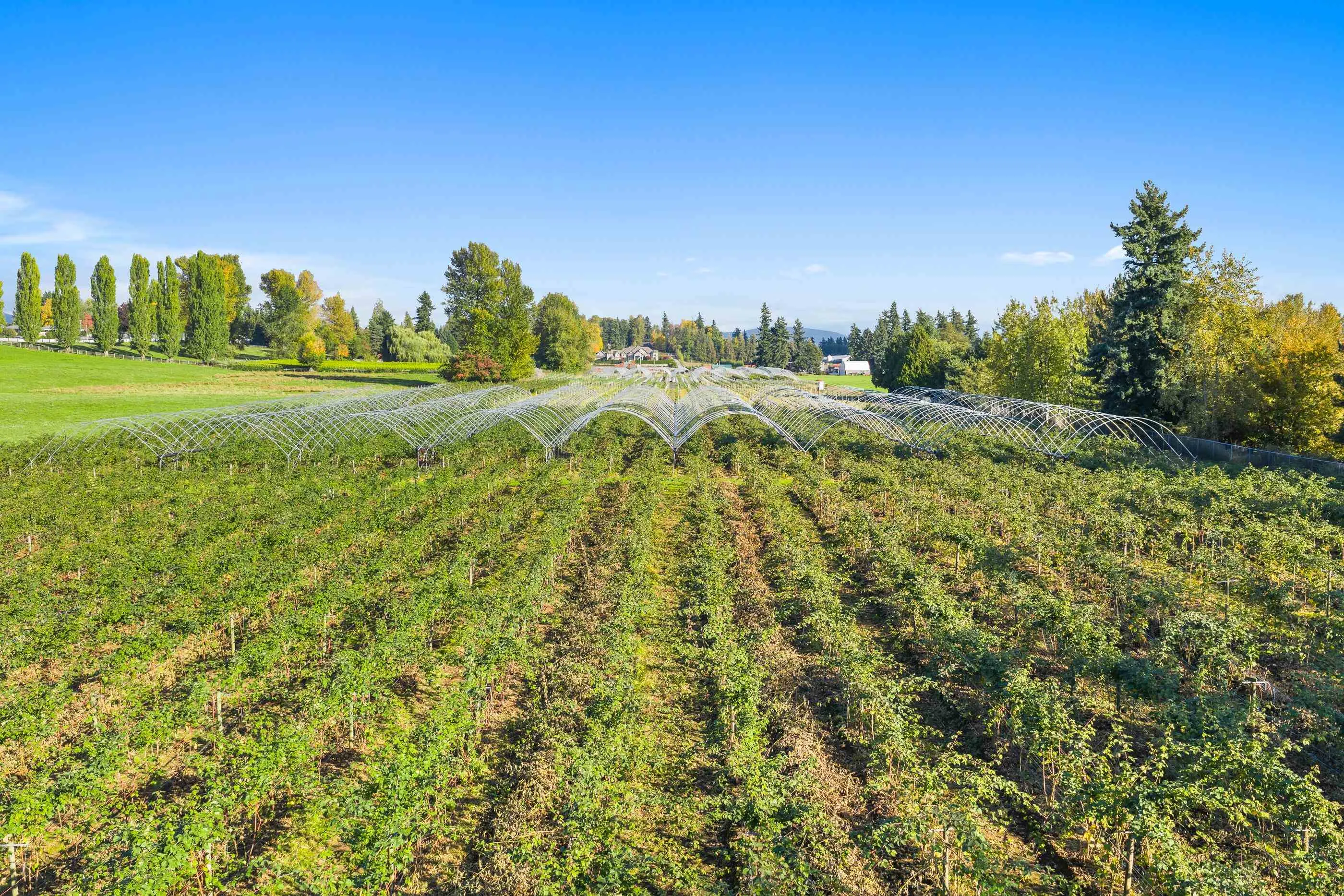 1415 Clearbrook Road