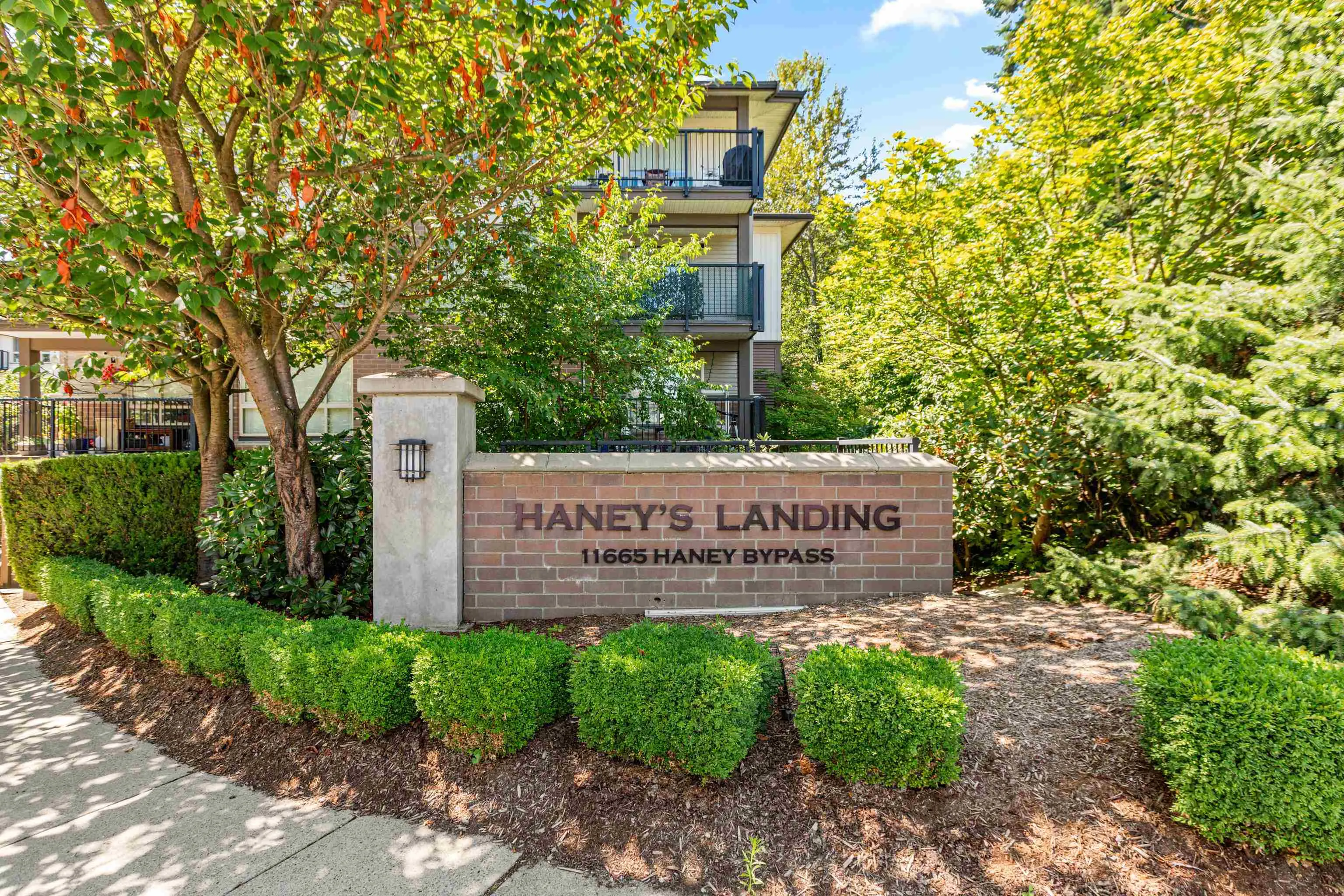 313 11665 Haney Bypass