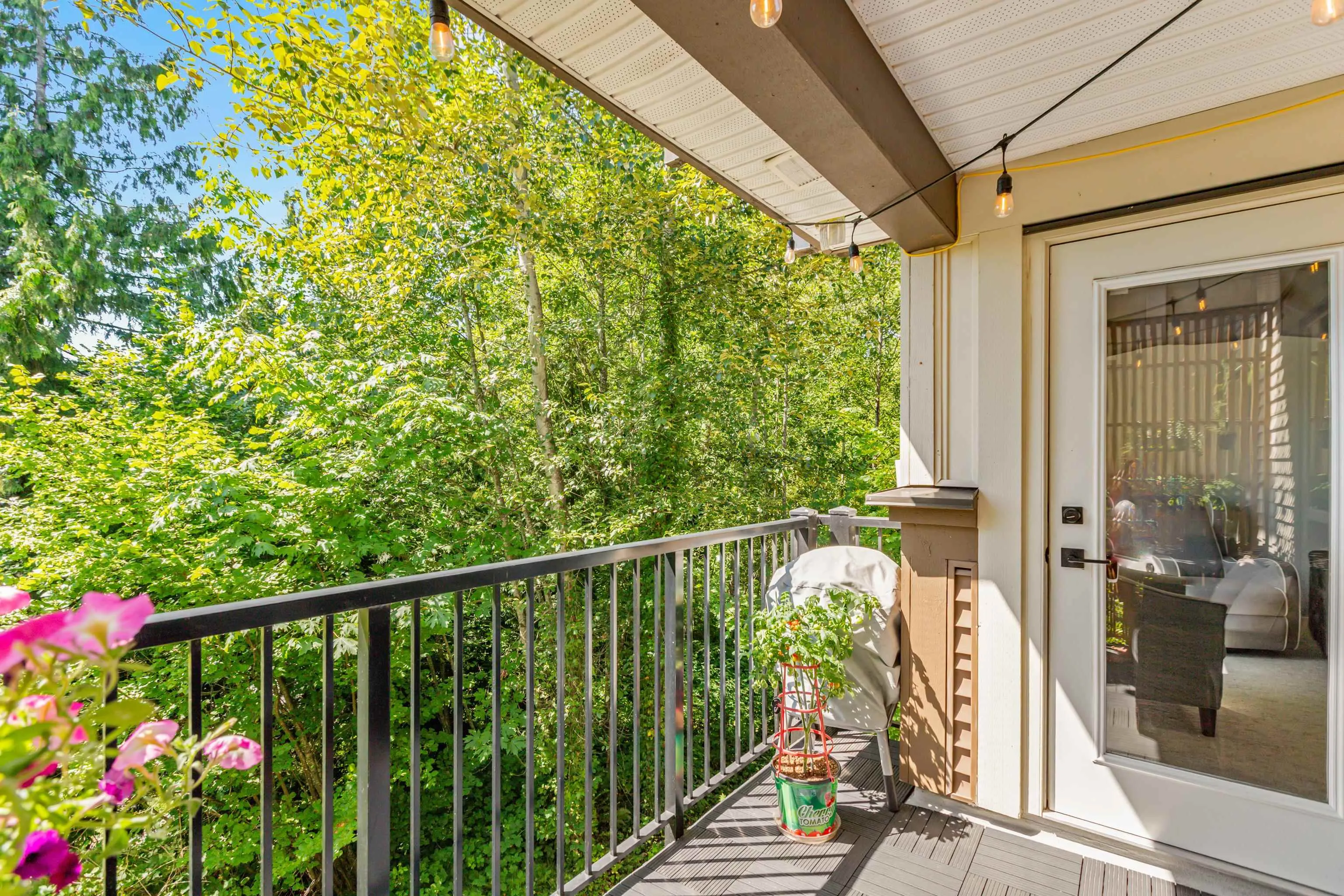 313 11665 Haney Bypass