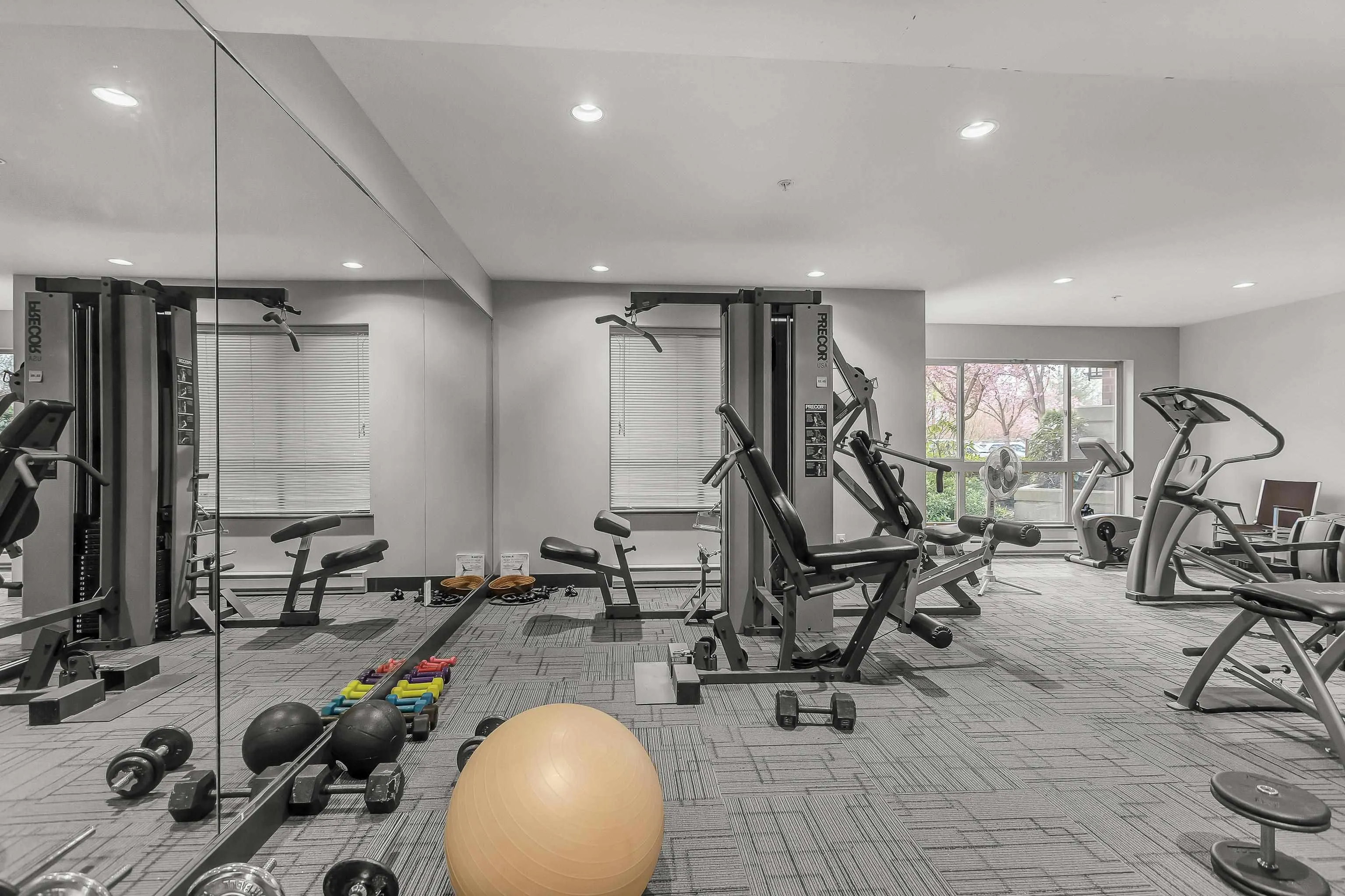 313 11665 Haney Bypass