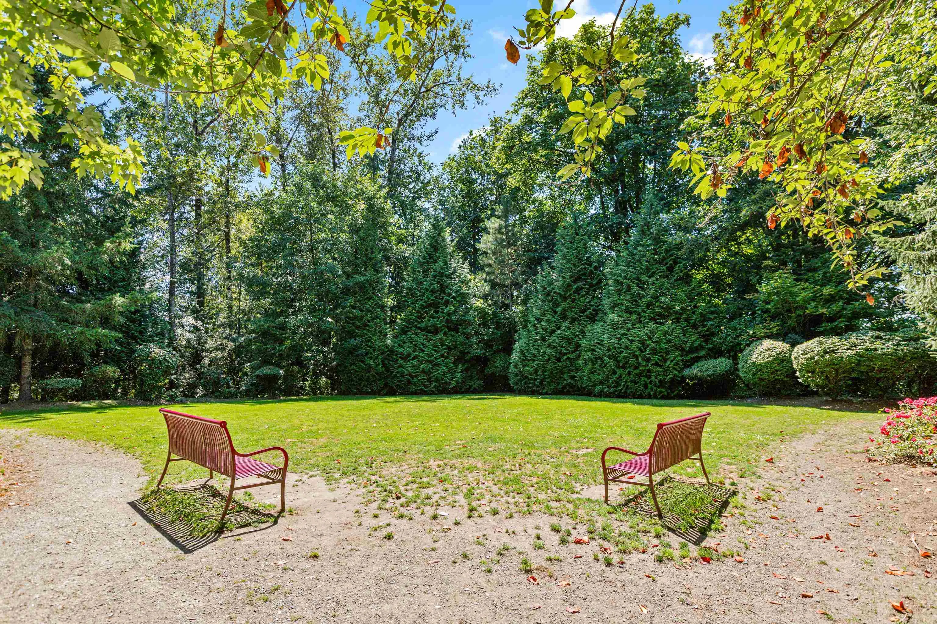 313 11665 Haney Bypass