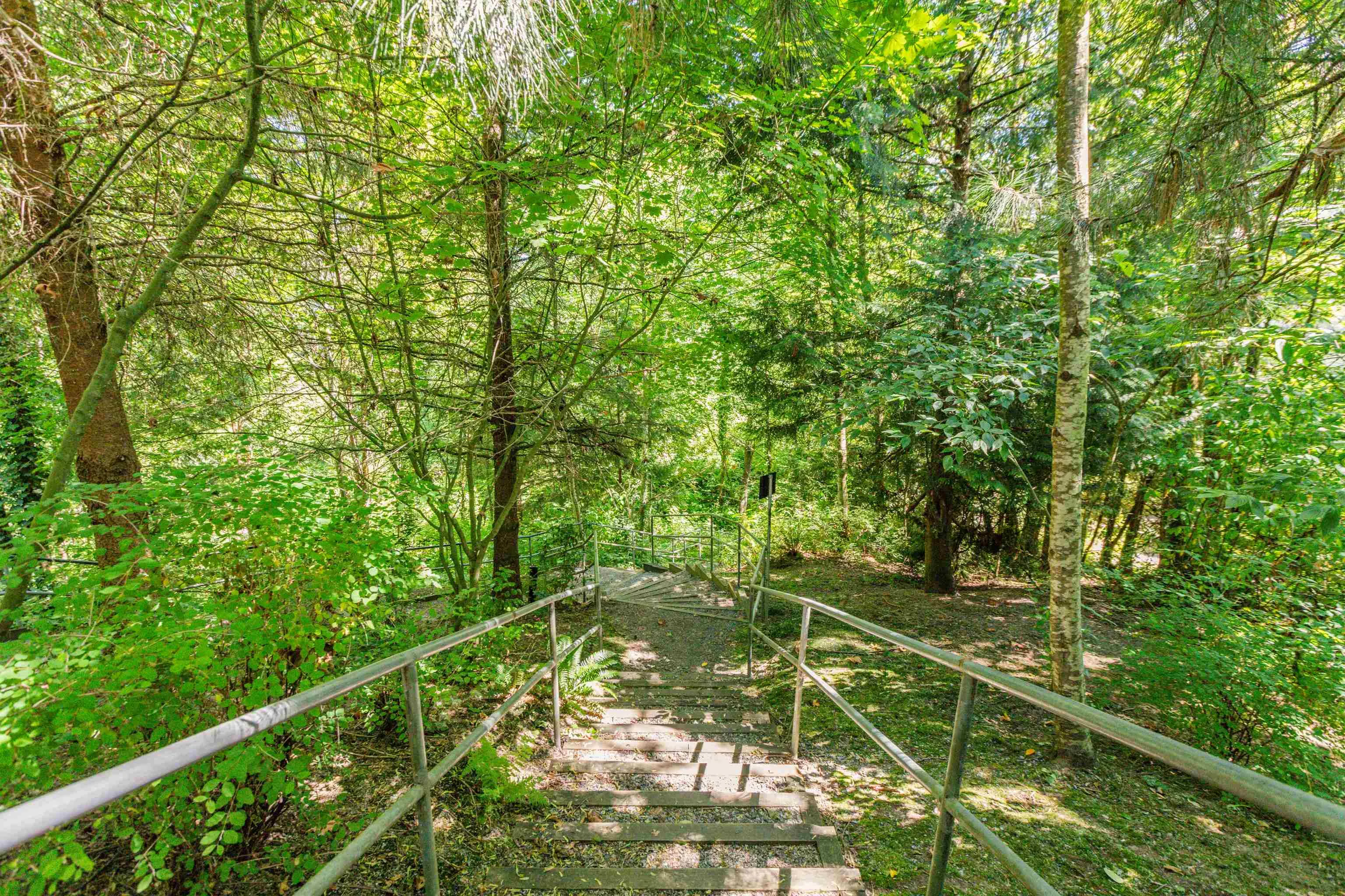 313 11665 Haney Bypass