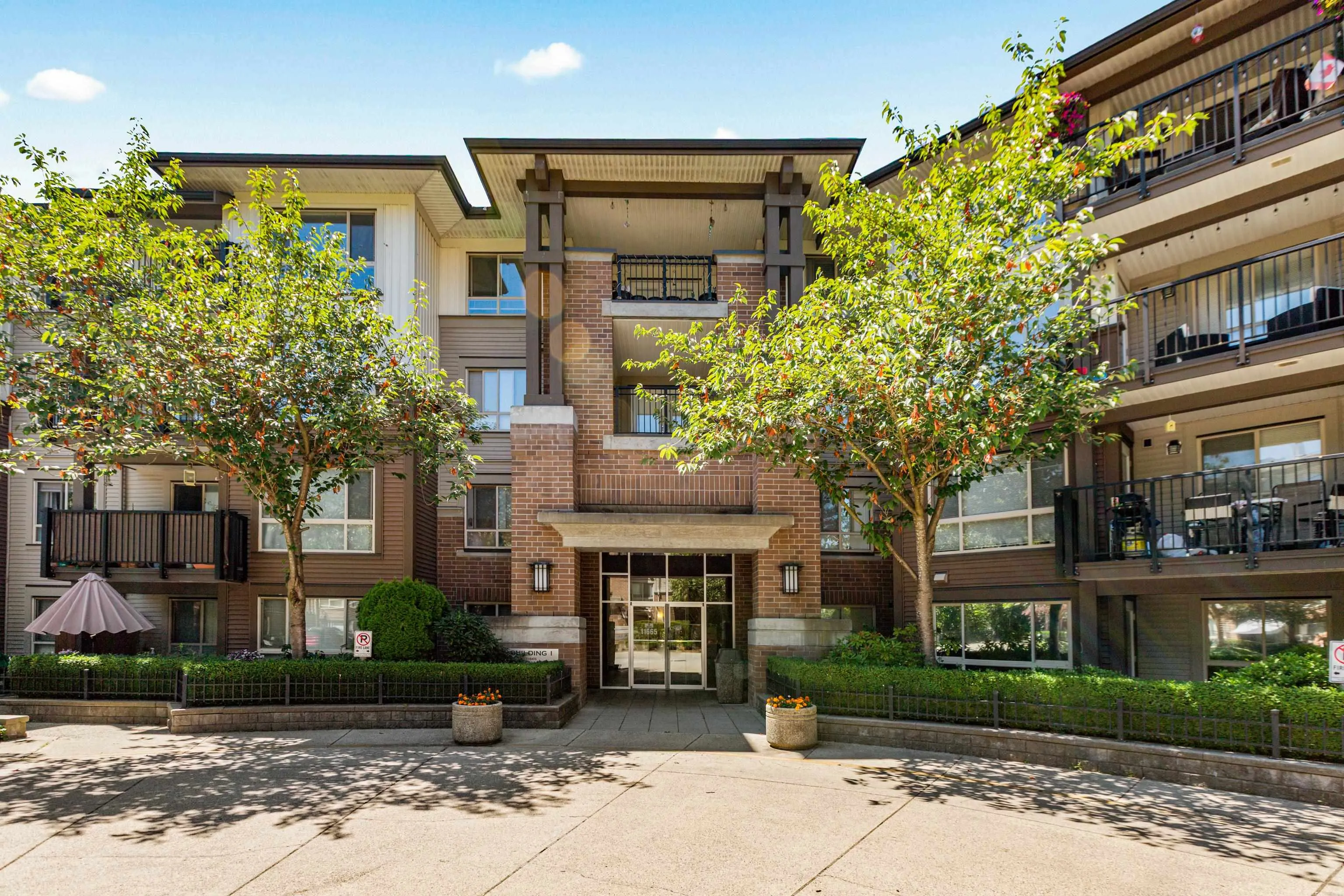 313 11665 Haney Bypass