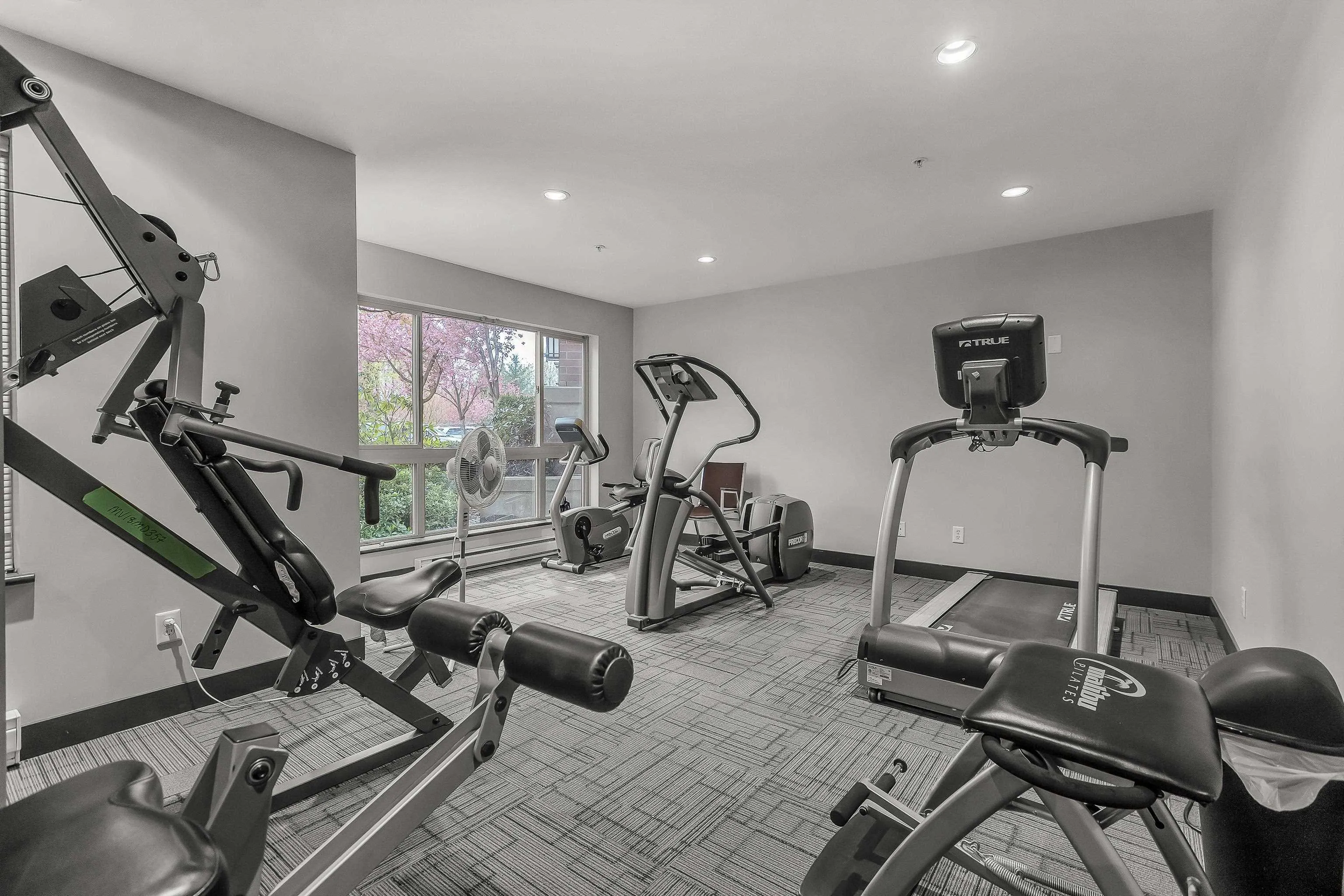 313 11665 Haney Bypass