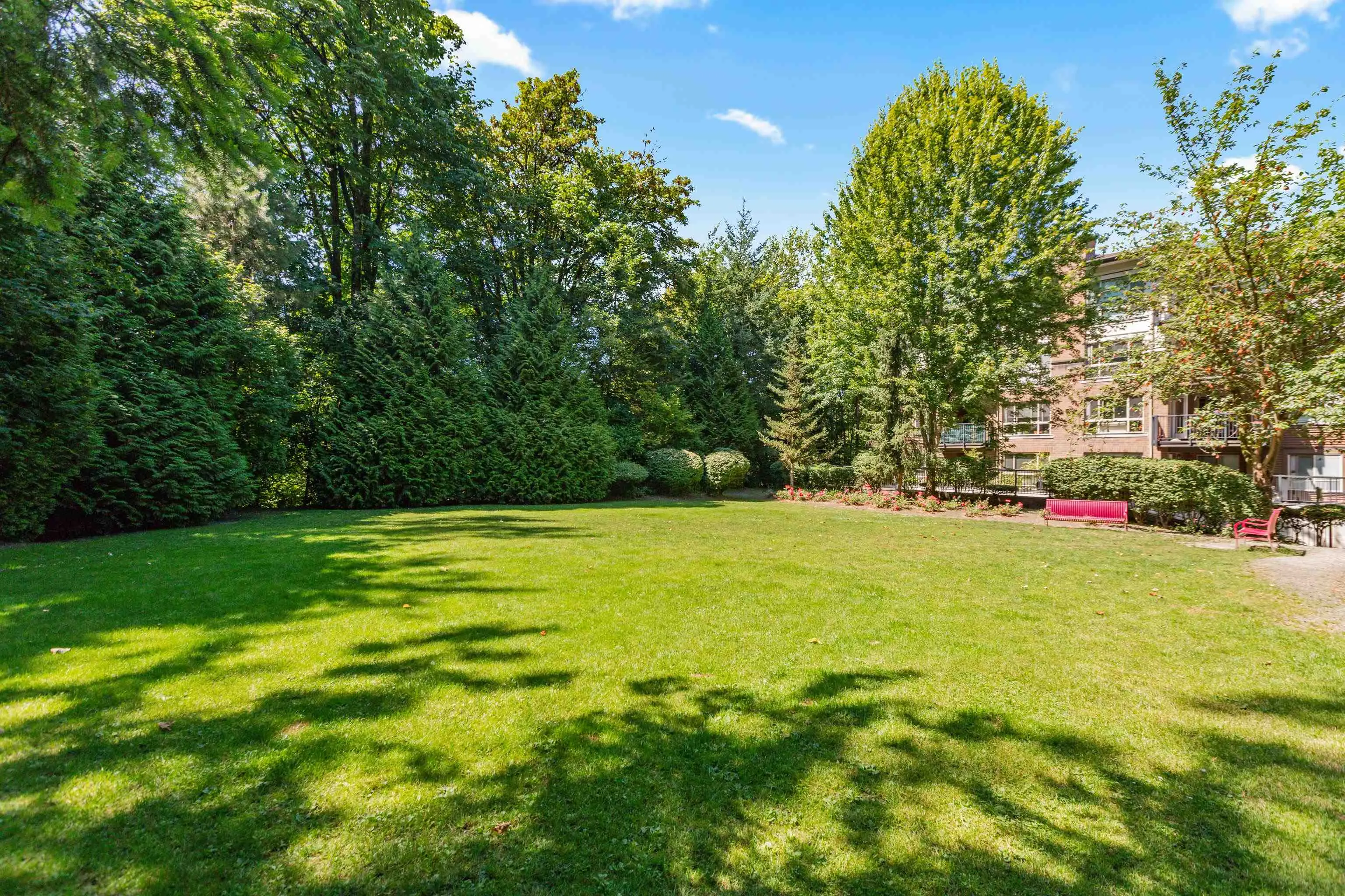 313 11665 Haney Bypass