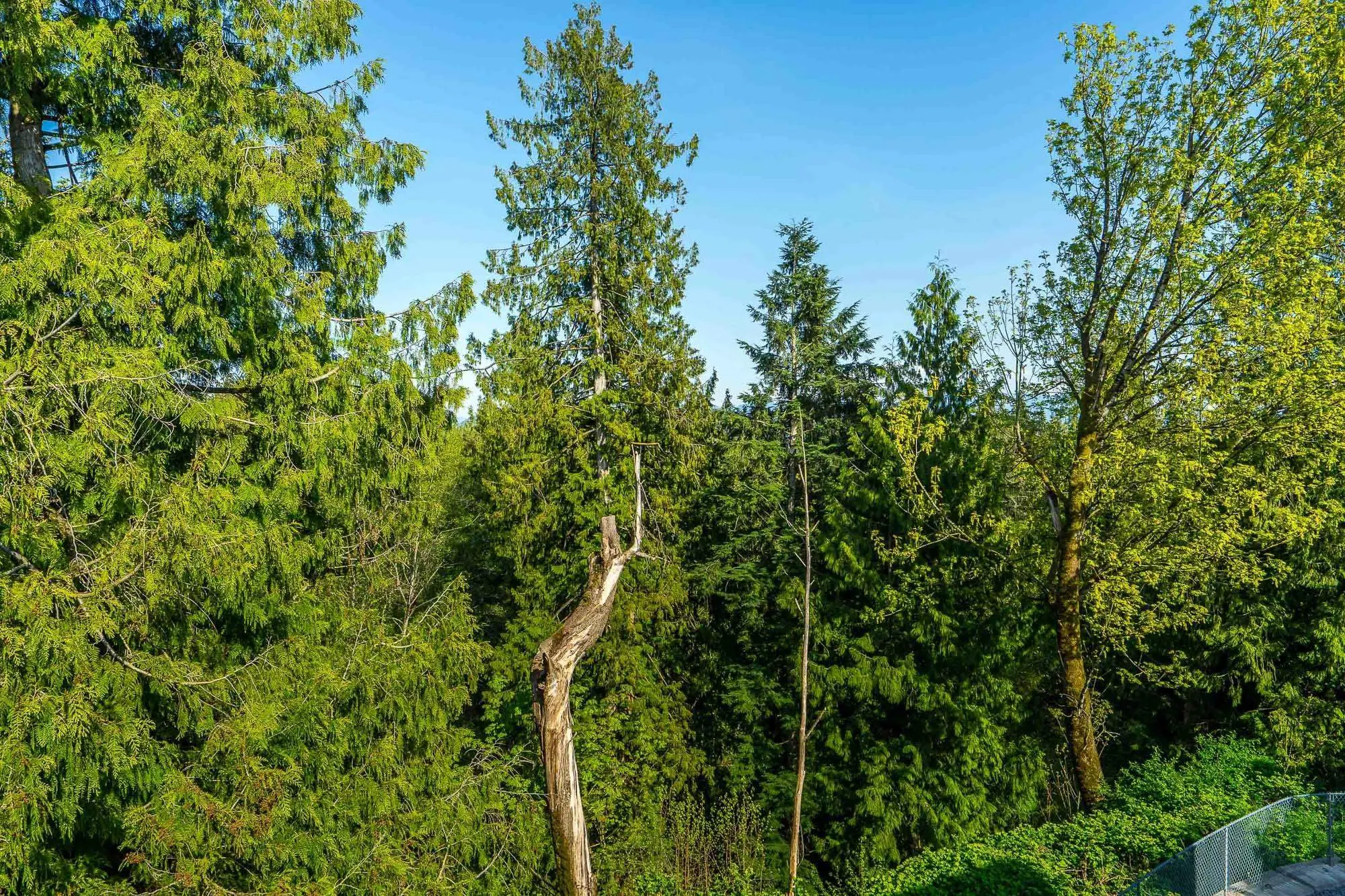 24 3380 Gladwin Road