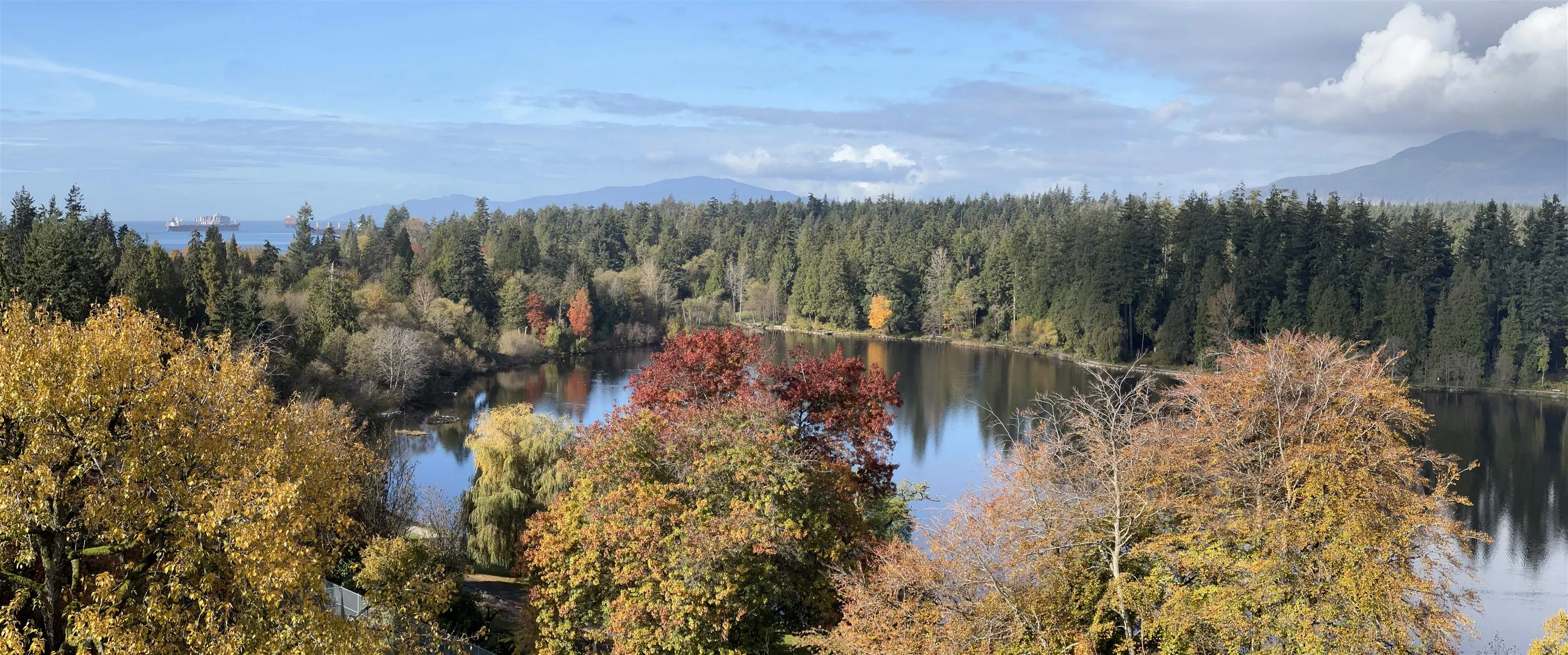 901 710 Chilco Street