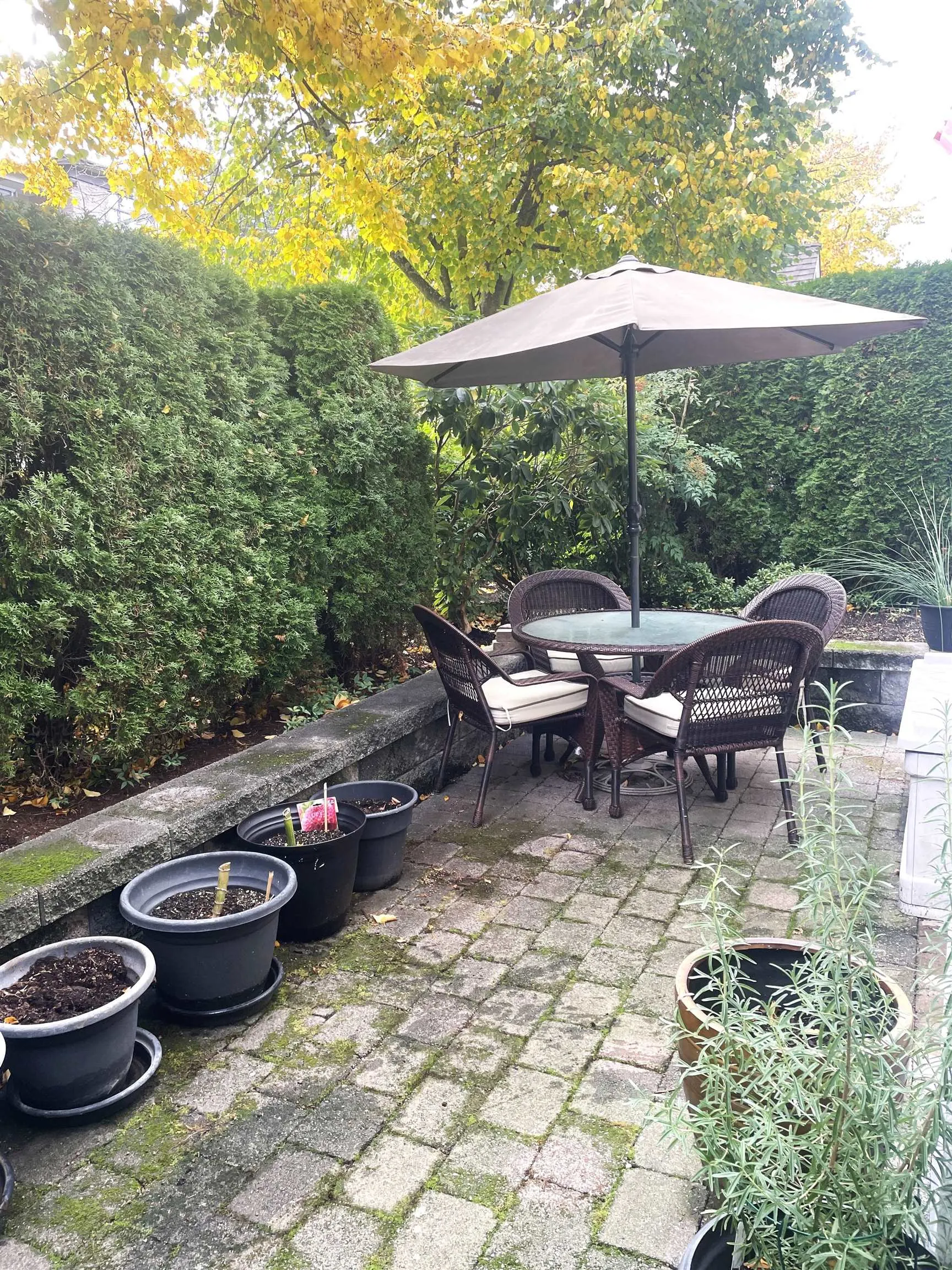 101 15299 17a Avenue