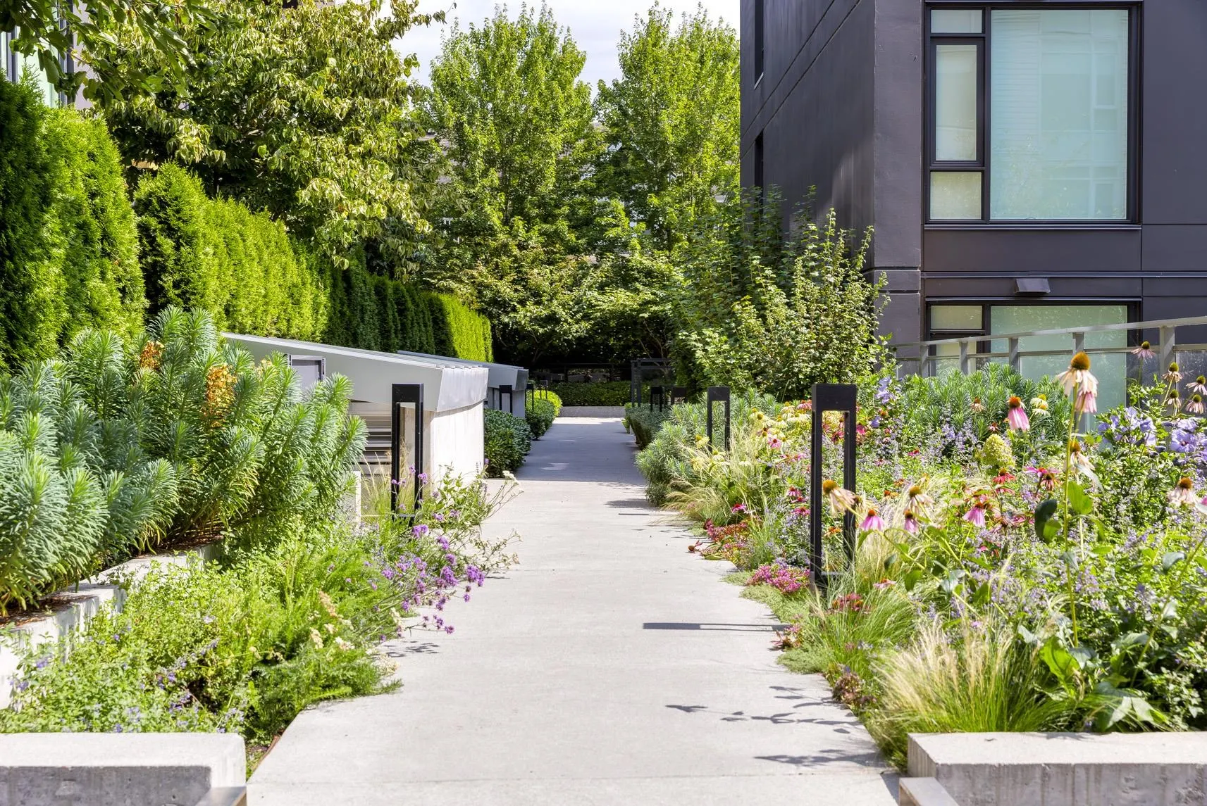 206 7428 Alberta Street