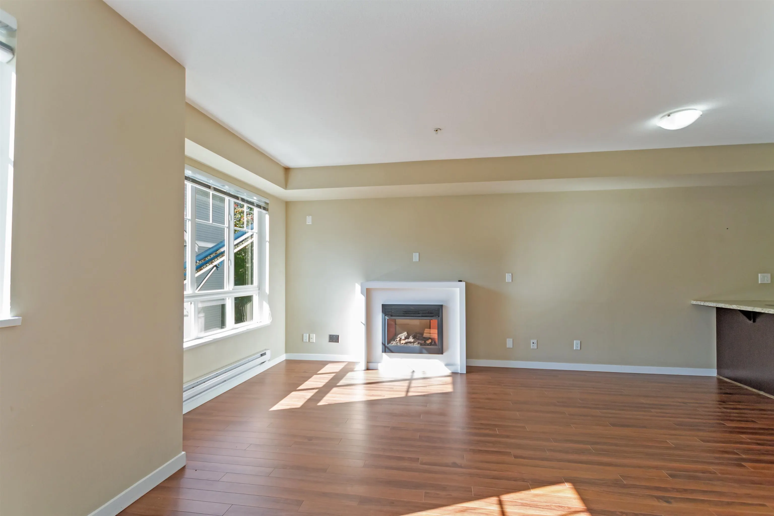 31 13239 Old Yale Road