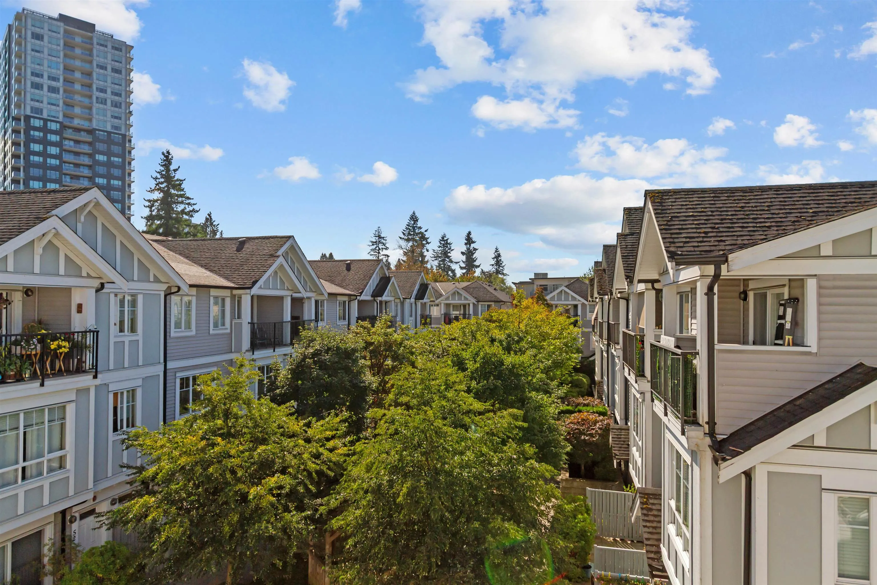 31 13239 Old Yale Road