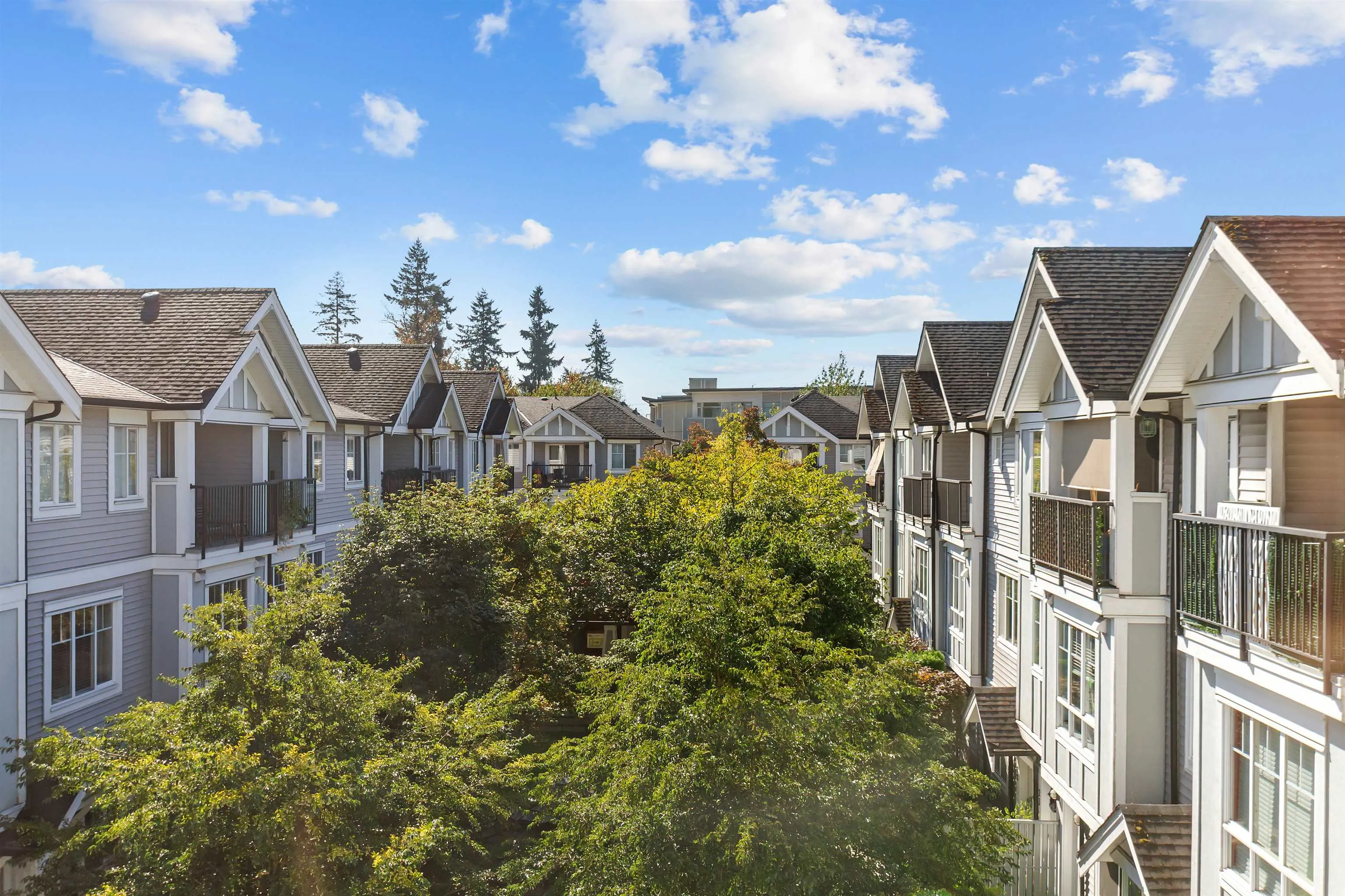 31 13239 Old Yale Road