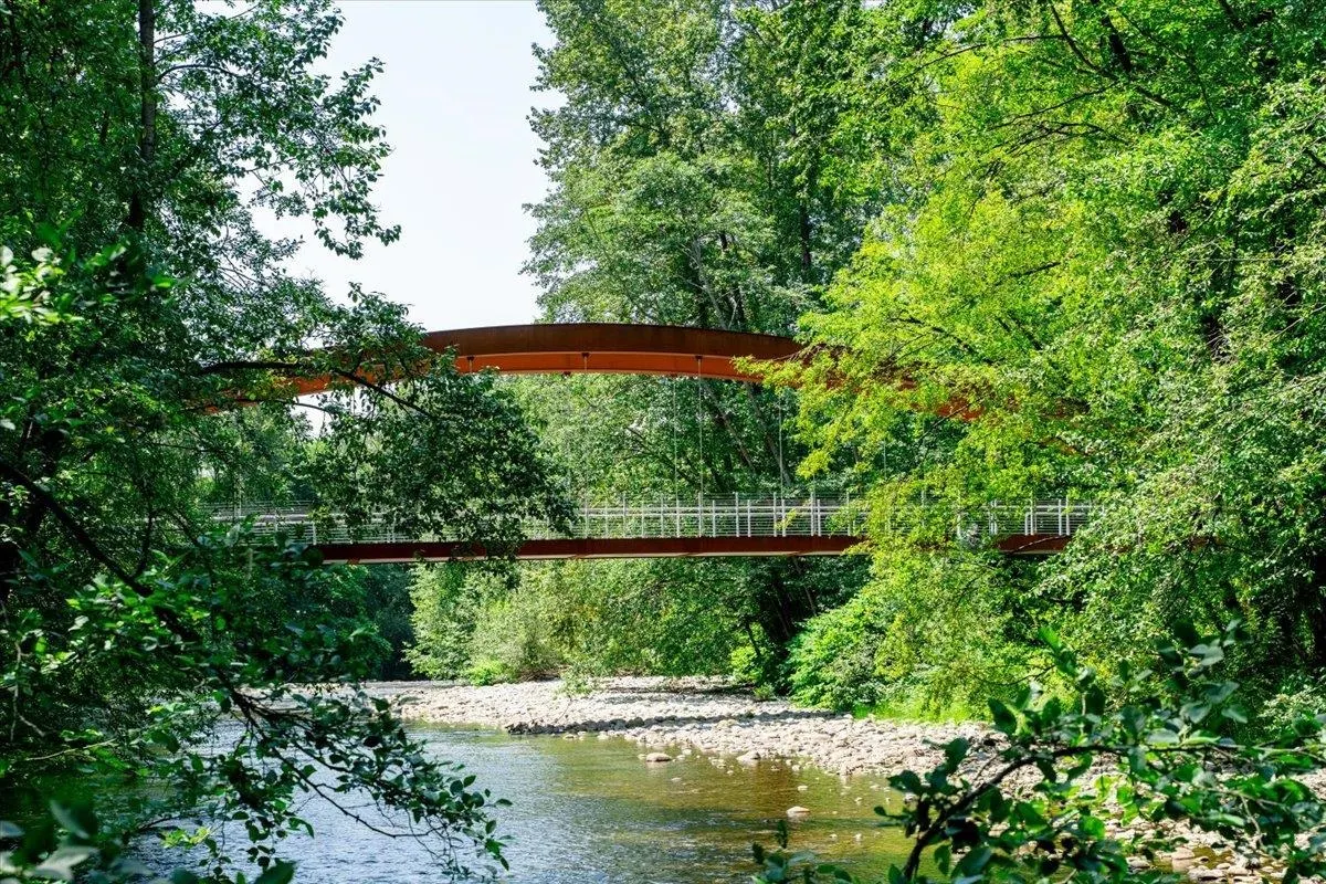 2205 1500 Fern Street