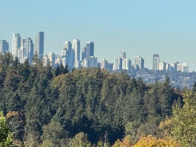 P03 375 Clayton Street