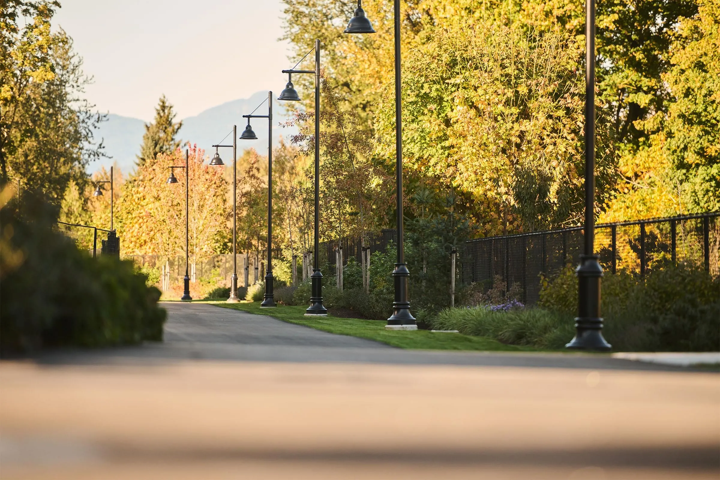 71 2886 Montrose Avenue