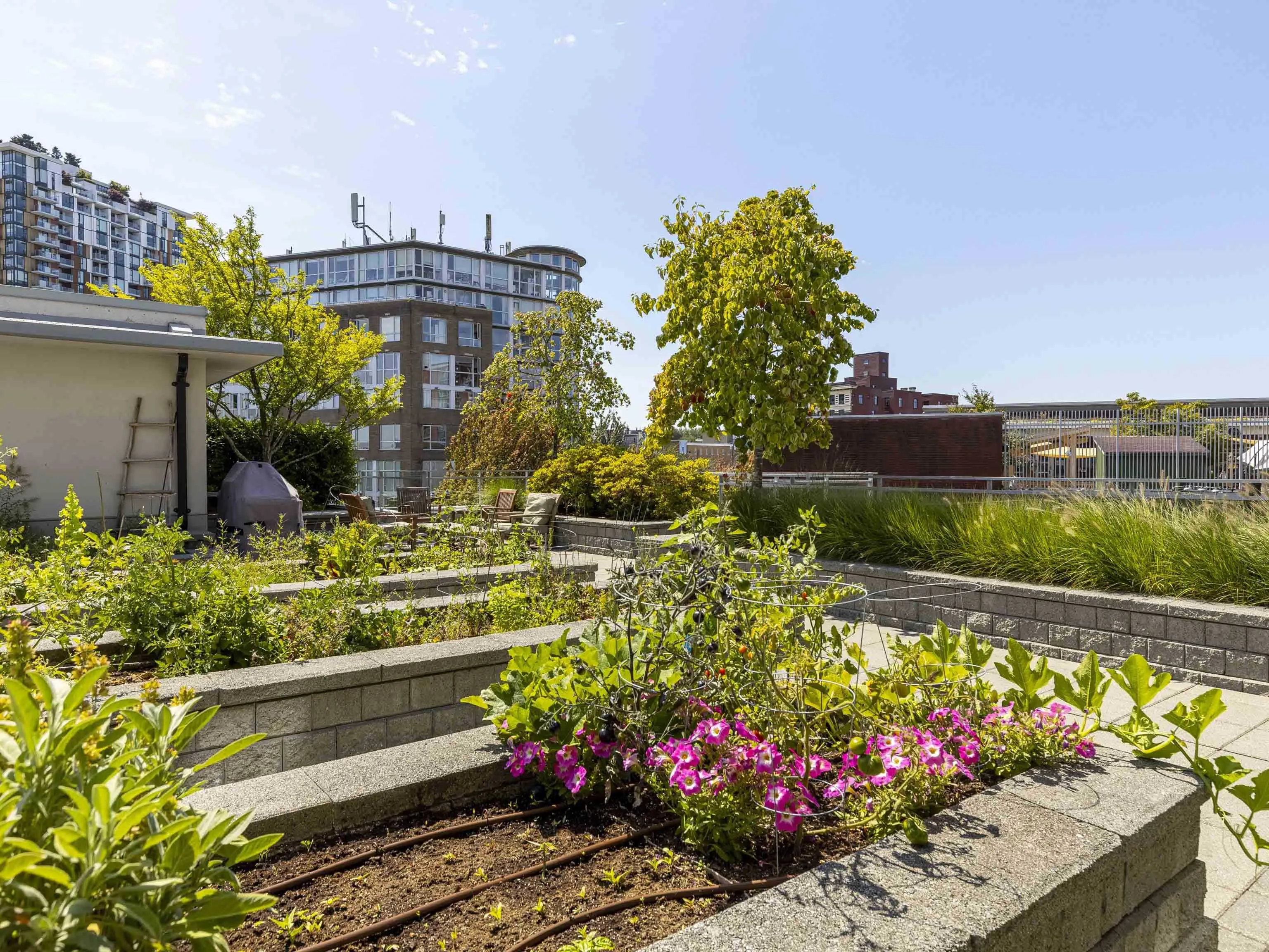 507 2321 Scotia Street